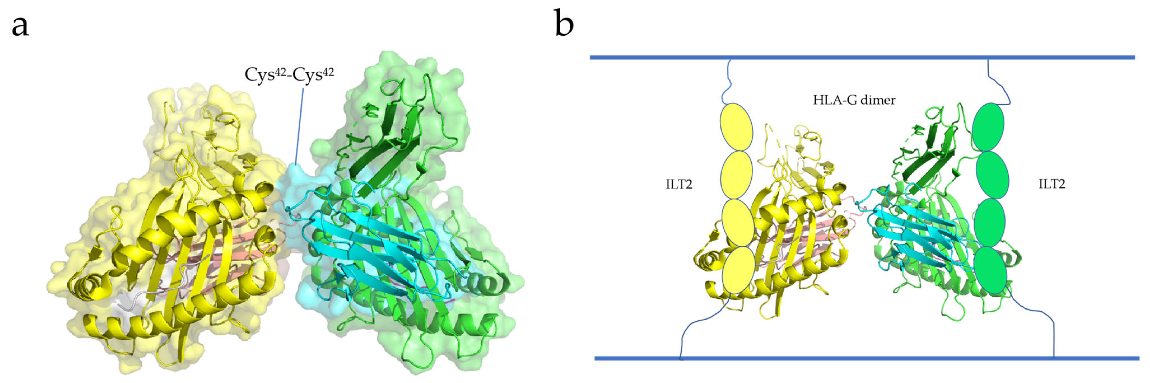 Membranes 13 00393 g004