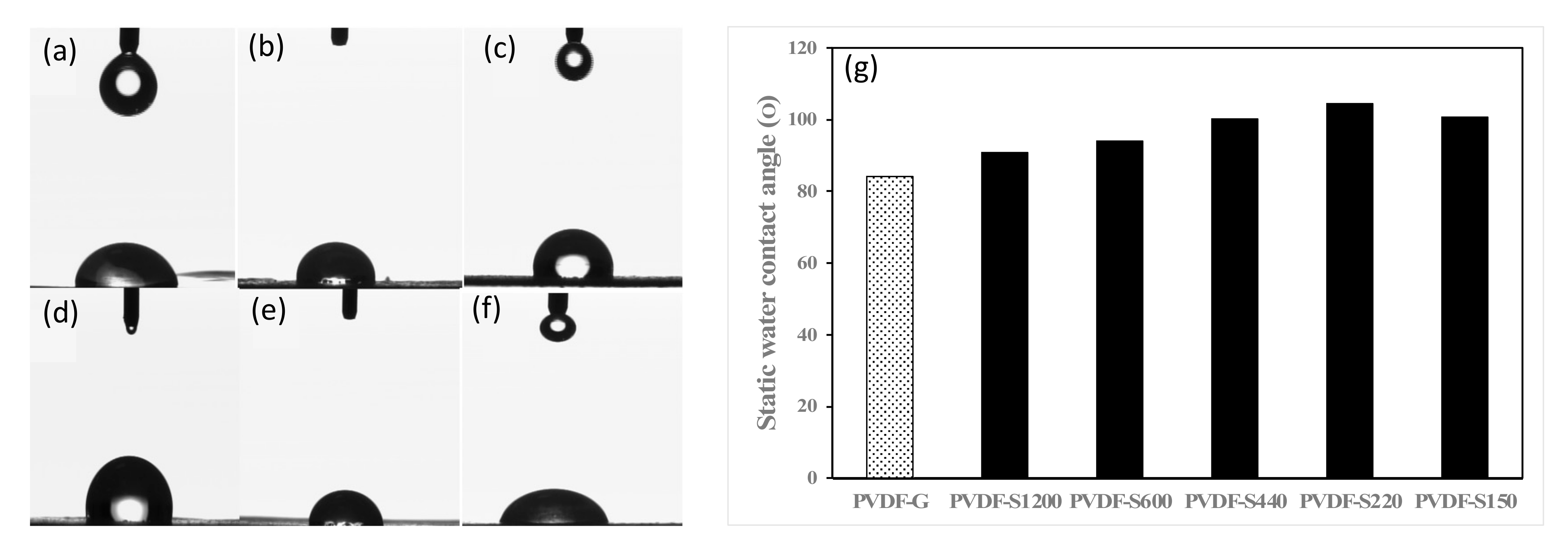 Membranes 13 00395 g003