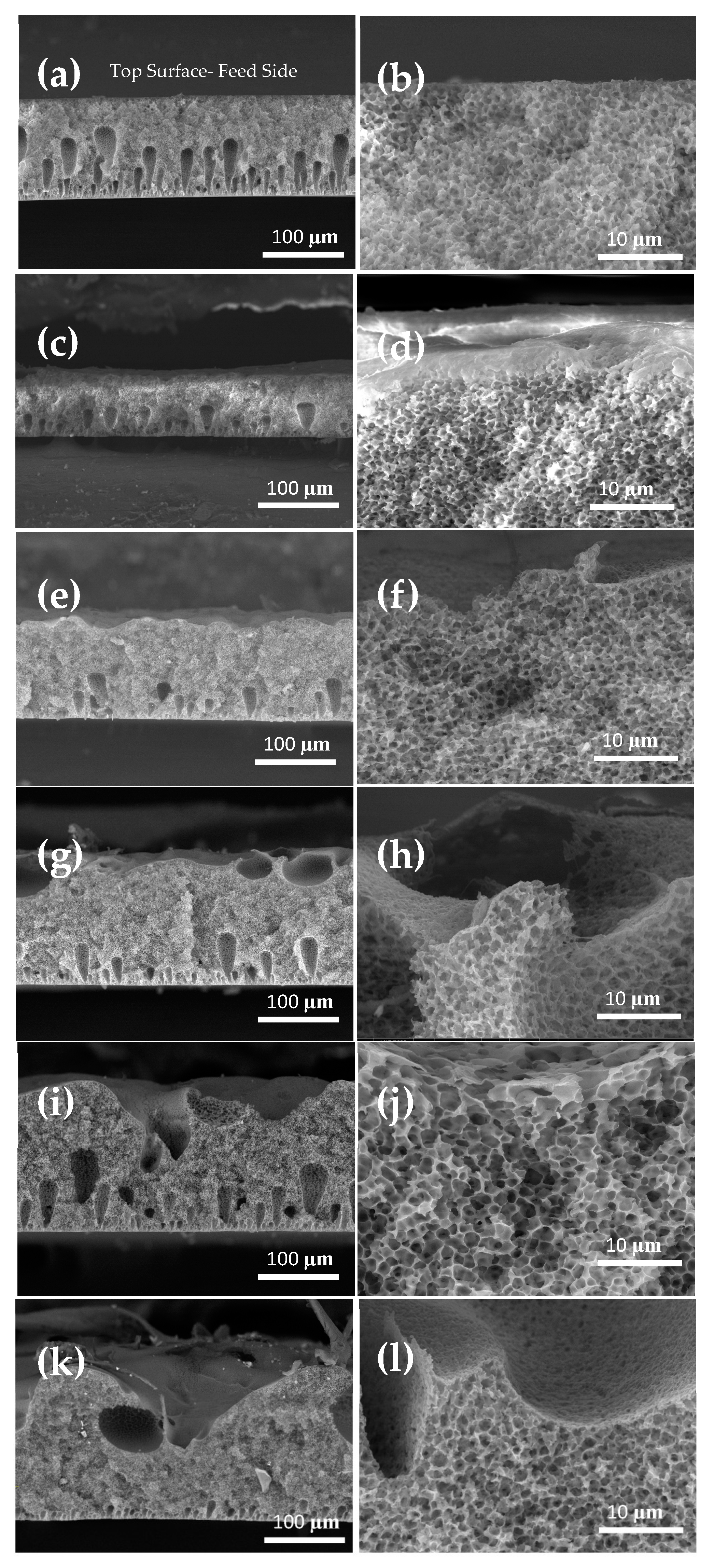Membranes 13 00395 g006