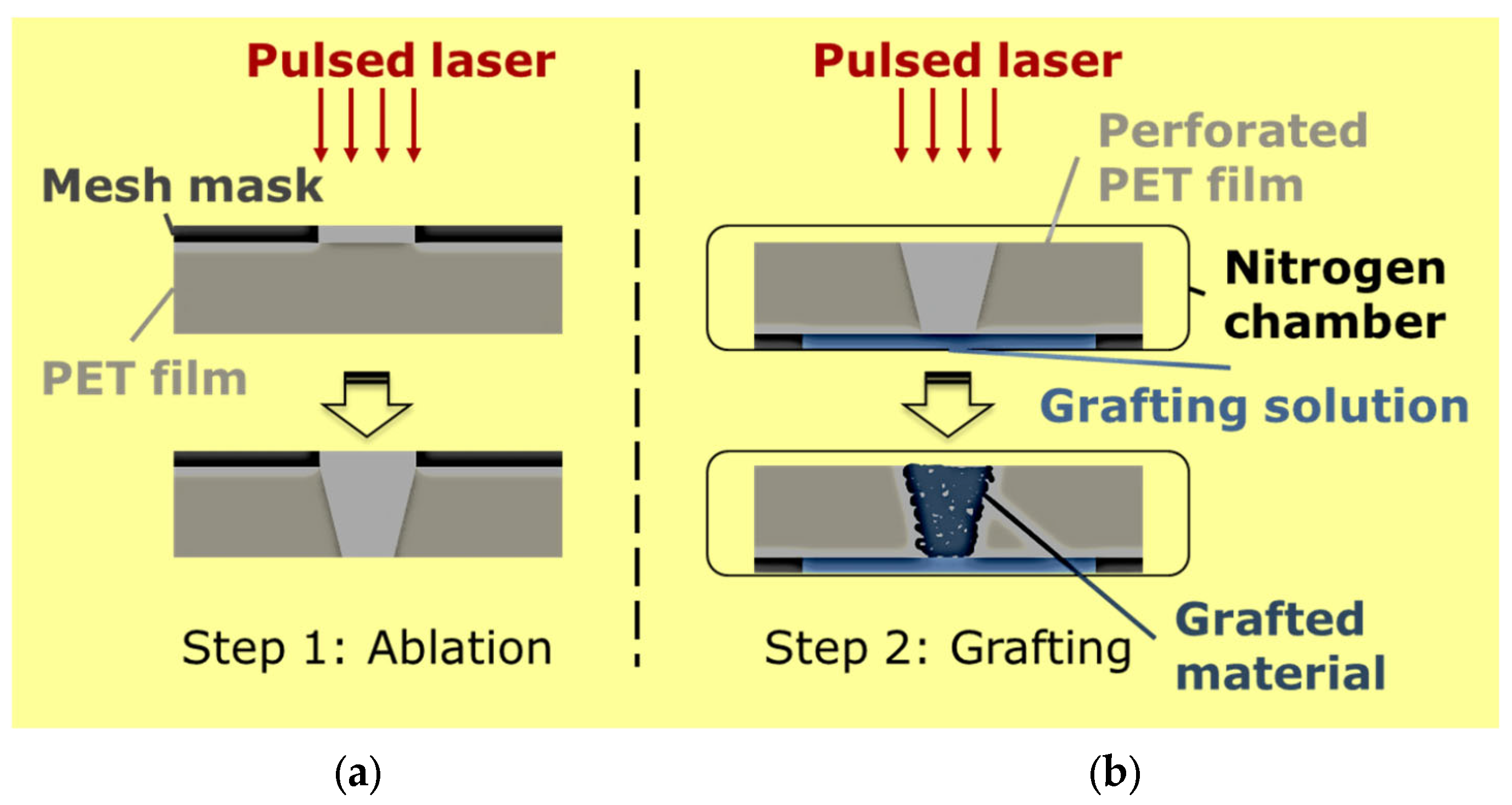 Membranes 13 00398 g002
