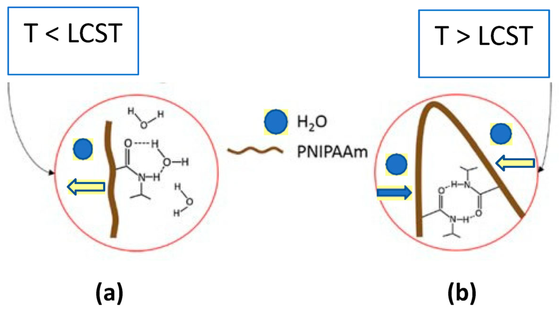 Membranes 13 00398 g004