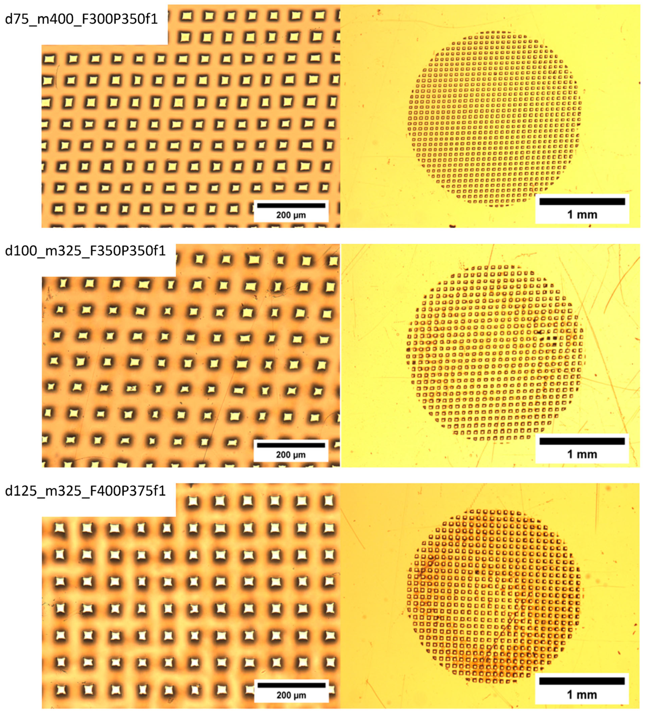 Membranes 13 00398 g007b