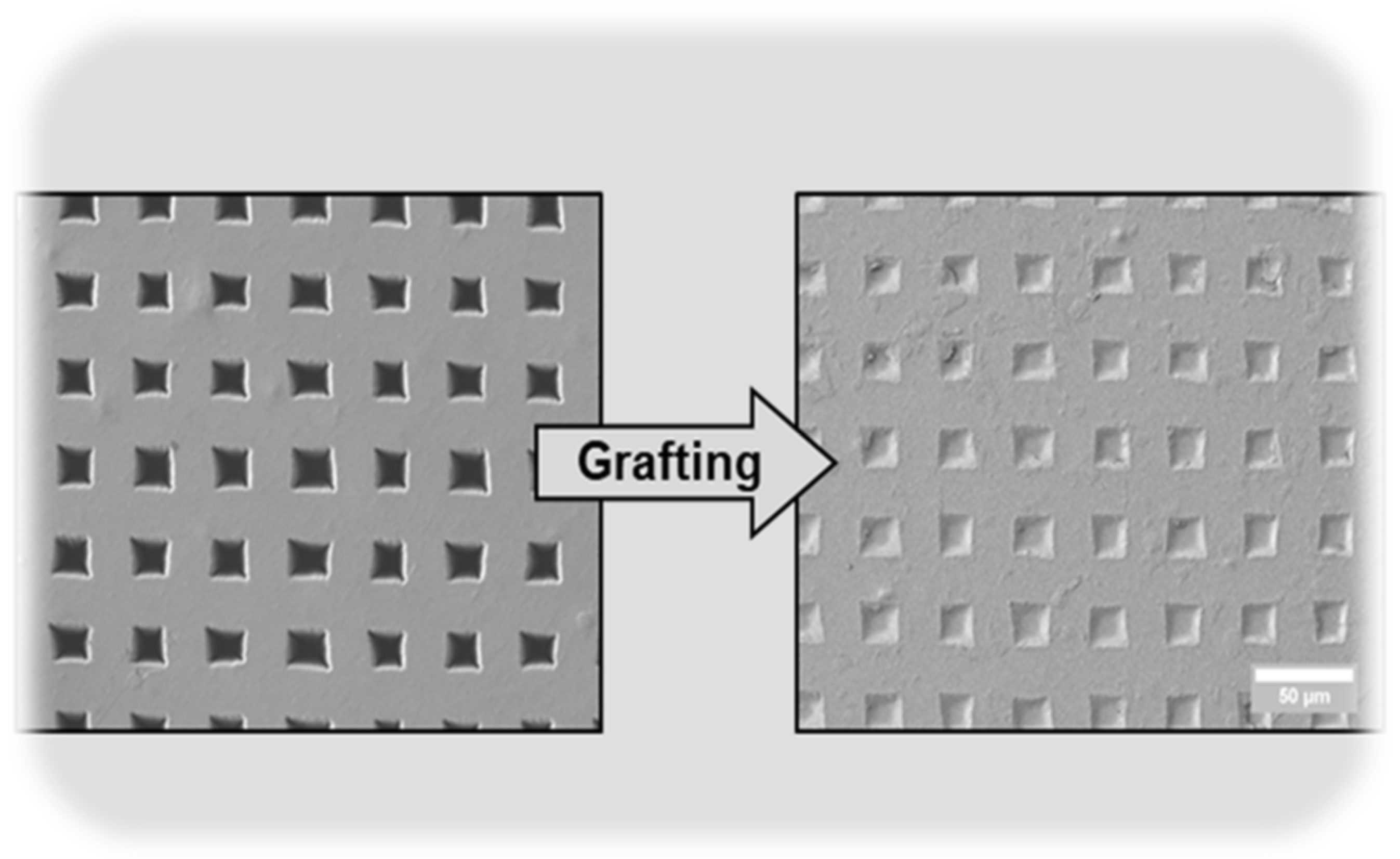 Membranes 13 00398 g011
