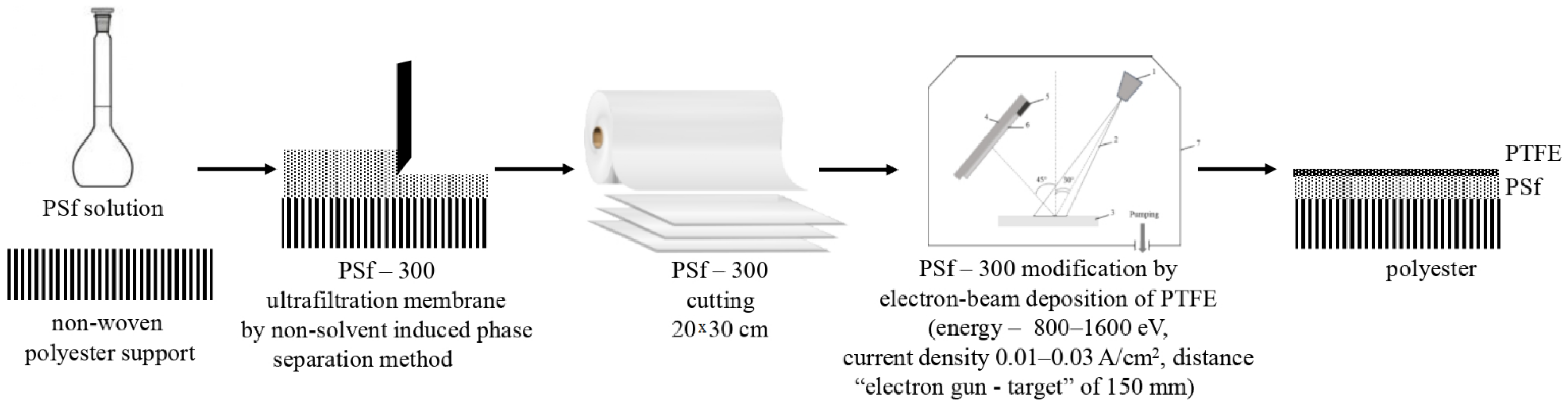 Membranes 13 00402 g001