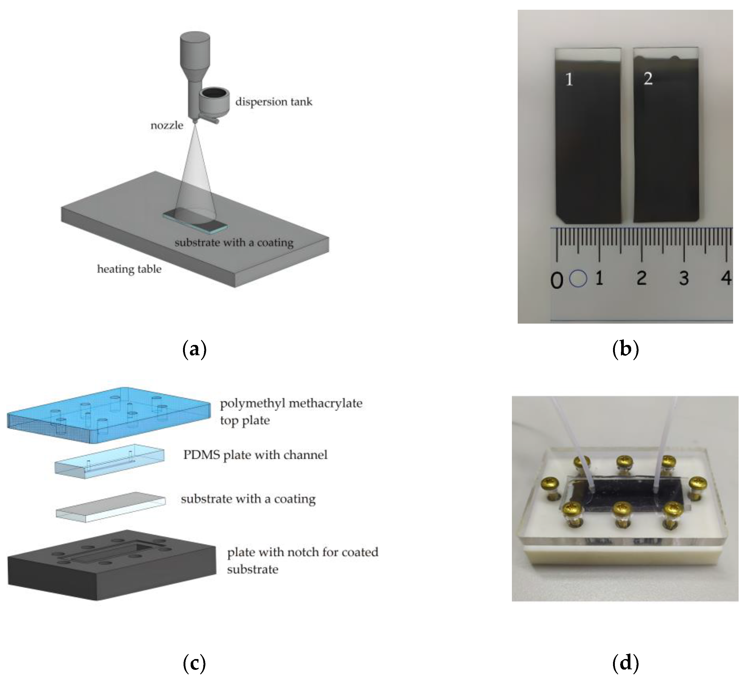 Membranes 13 00403 g001