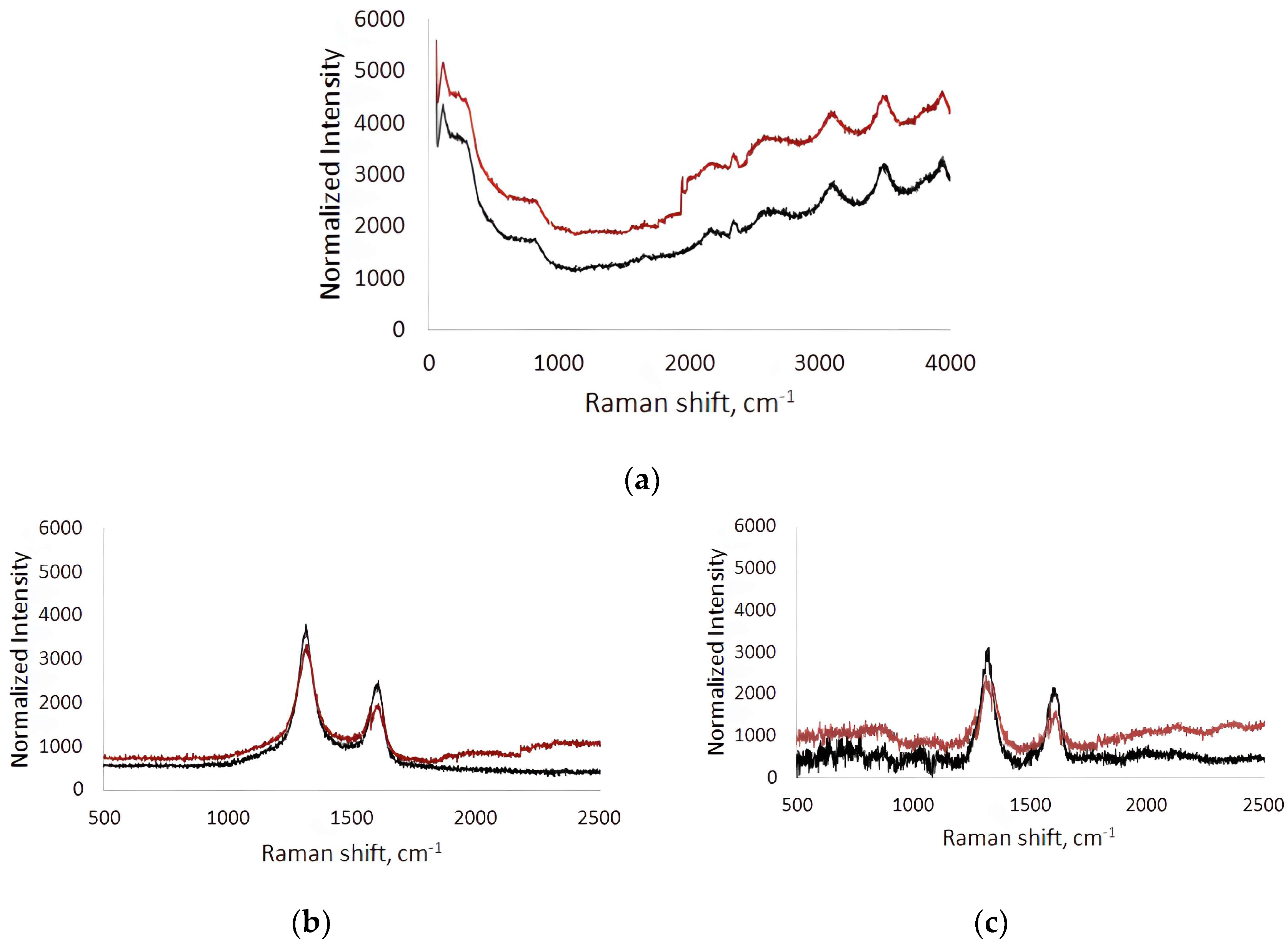 Membranes 13 00403 g005