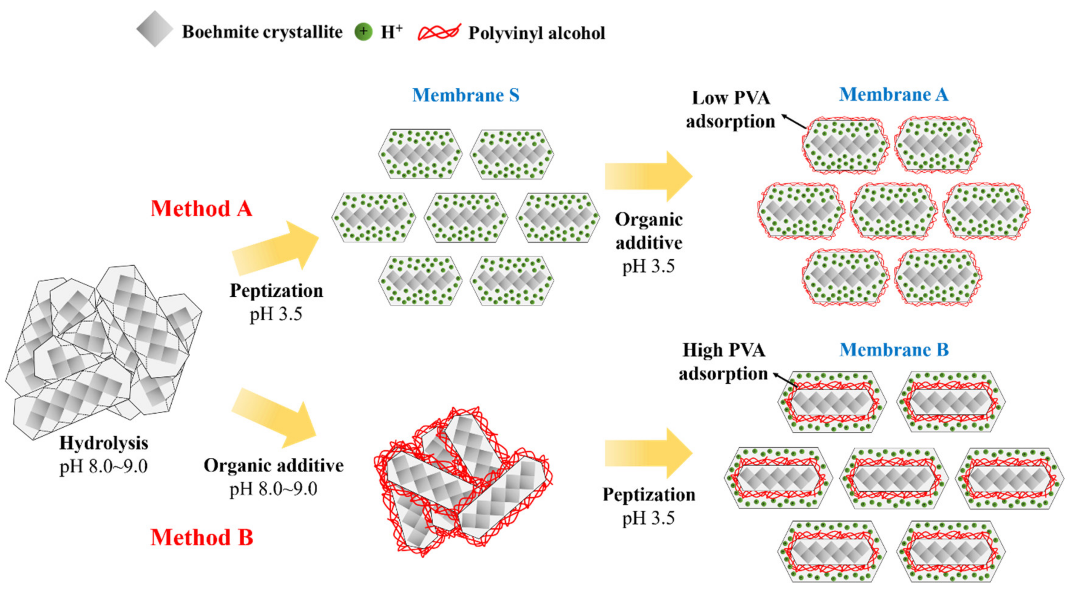 Membranes 13 00405 g005