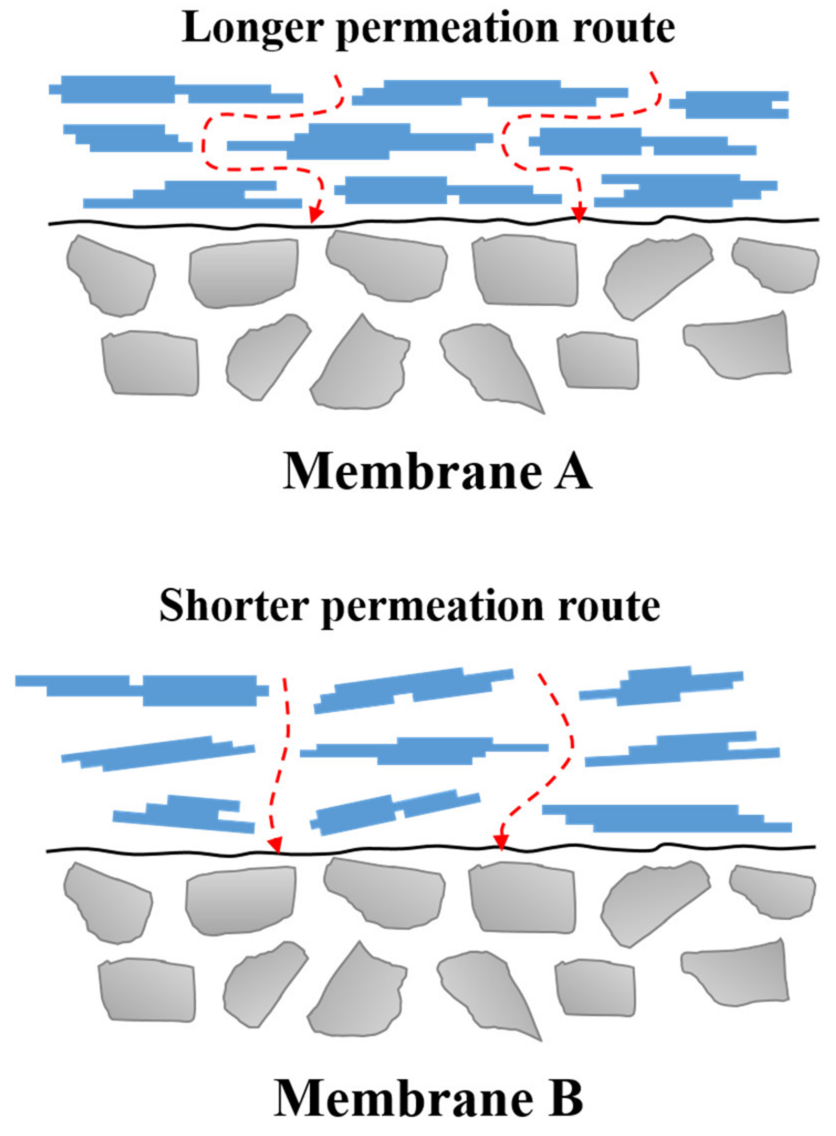 Membranes 13 00405 g006