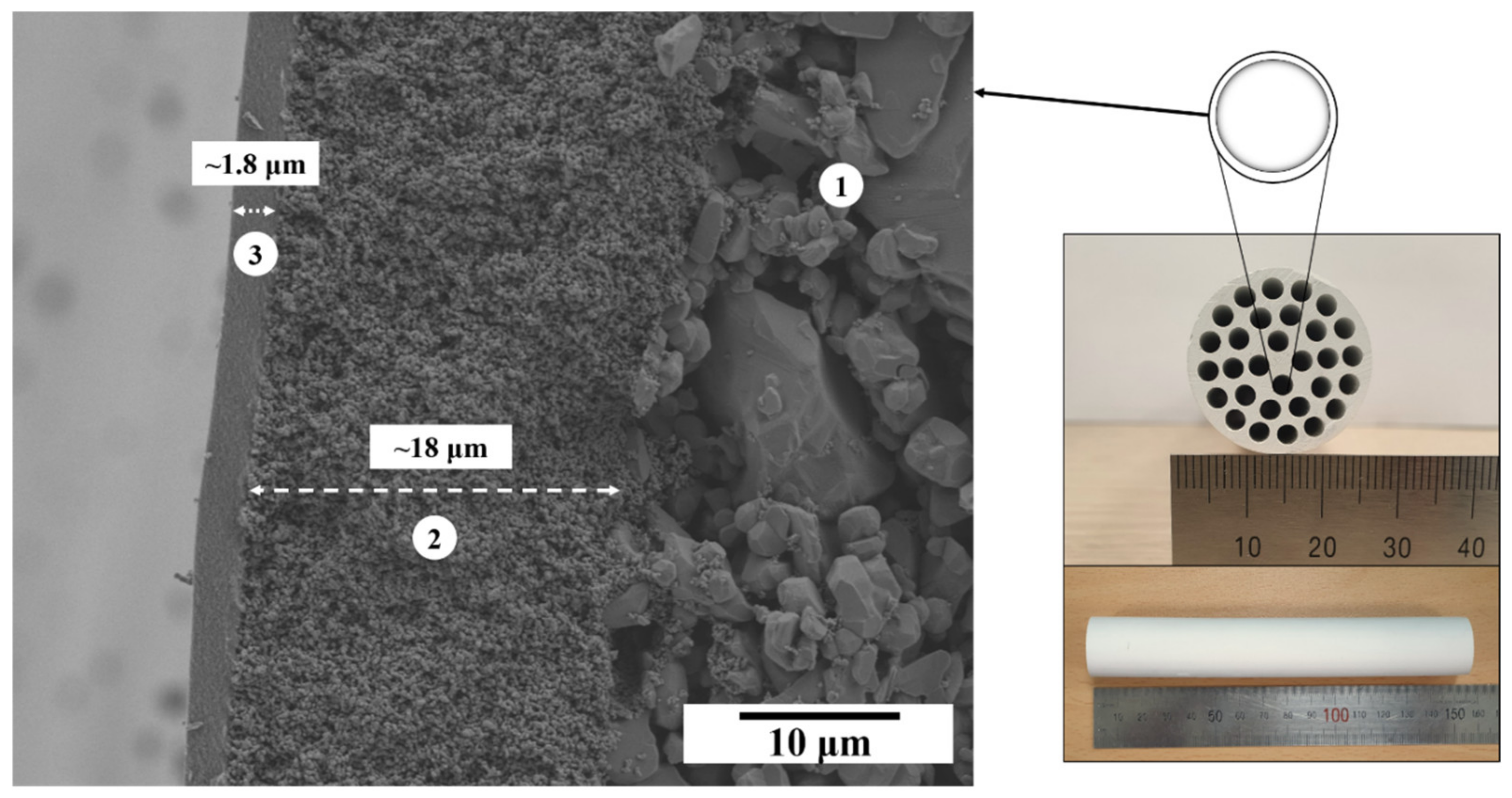 Membranes 13 00405 g010