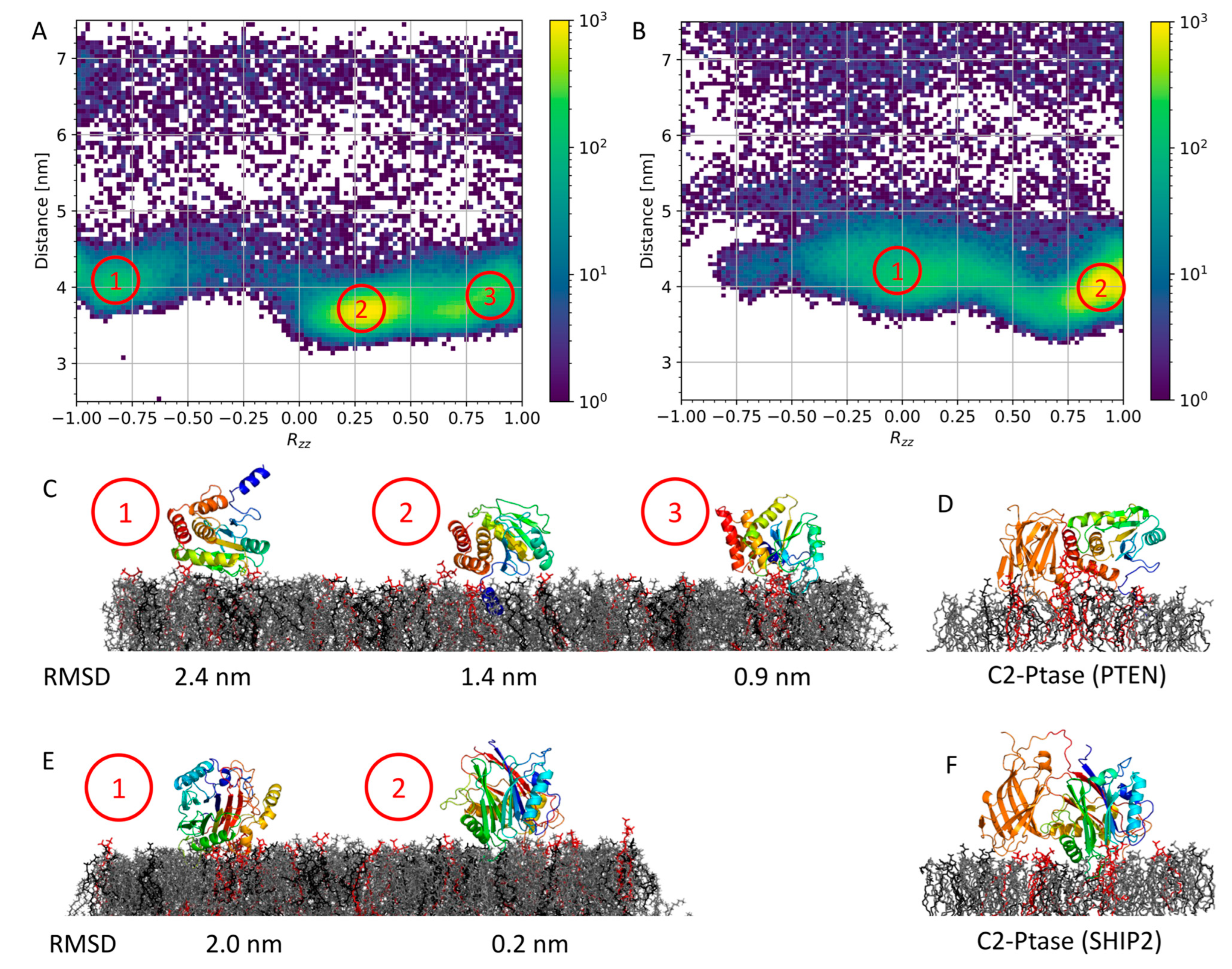 Membranes 13 00408 g003