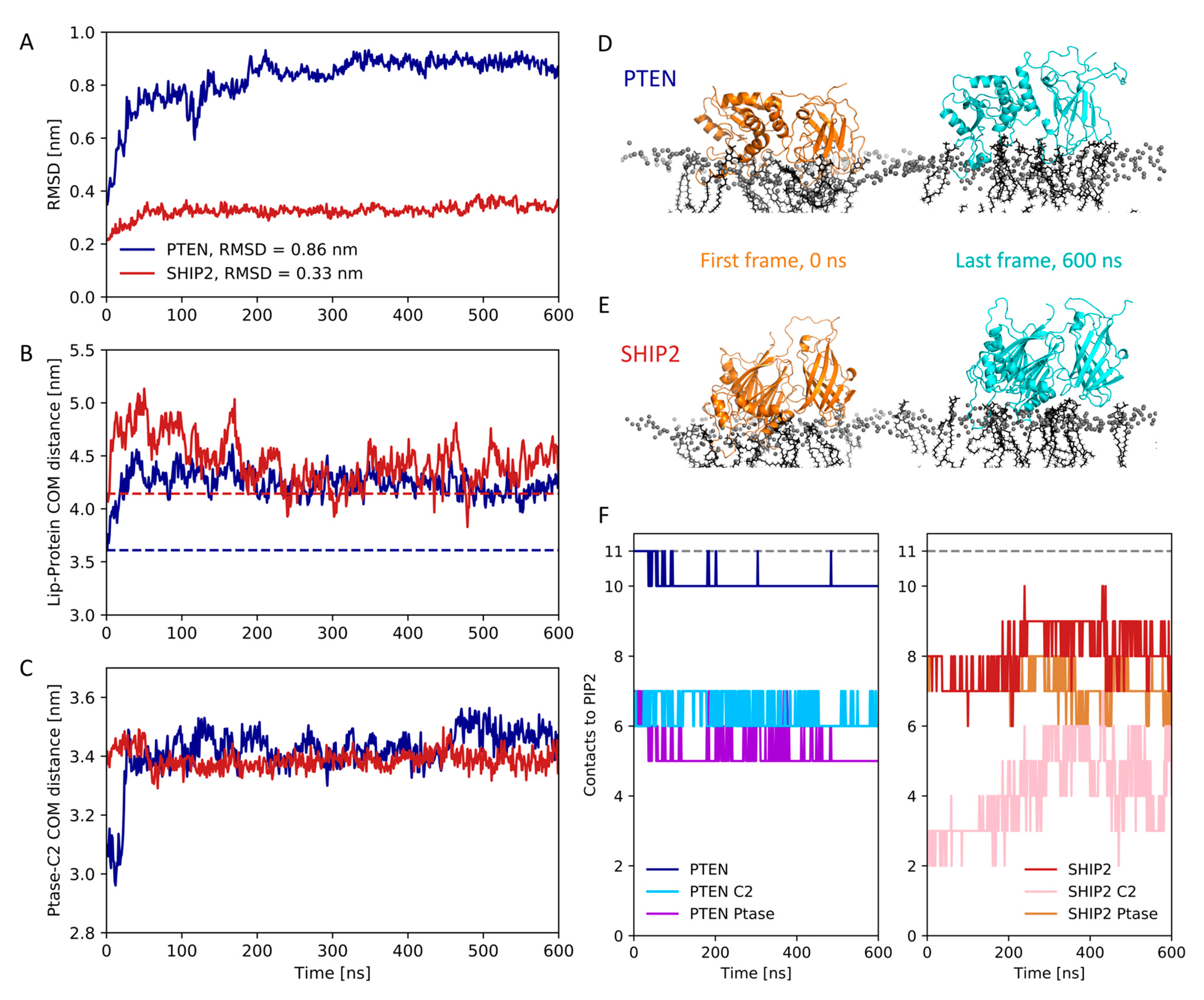 Membranes 13 00408 g005