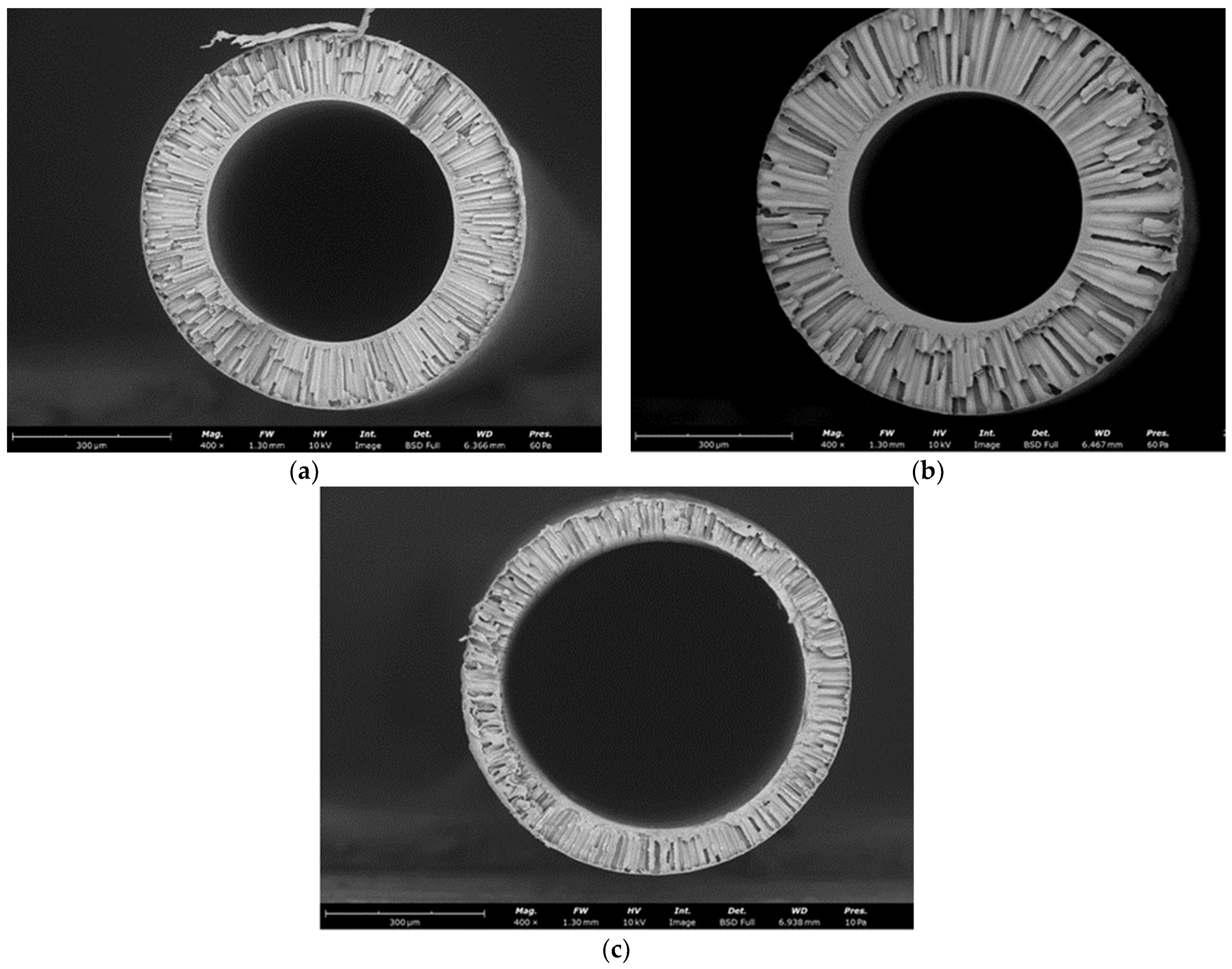 Membranes 13 00412 g007