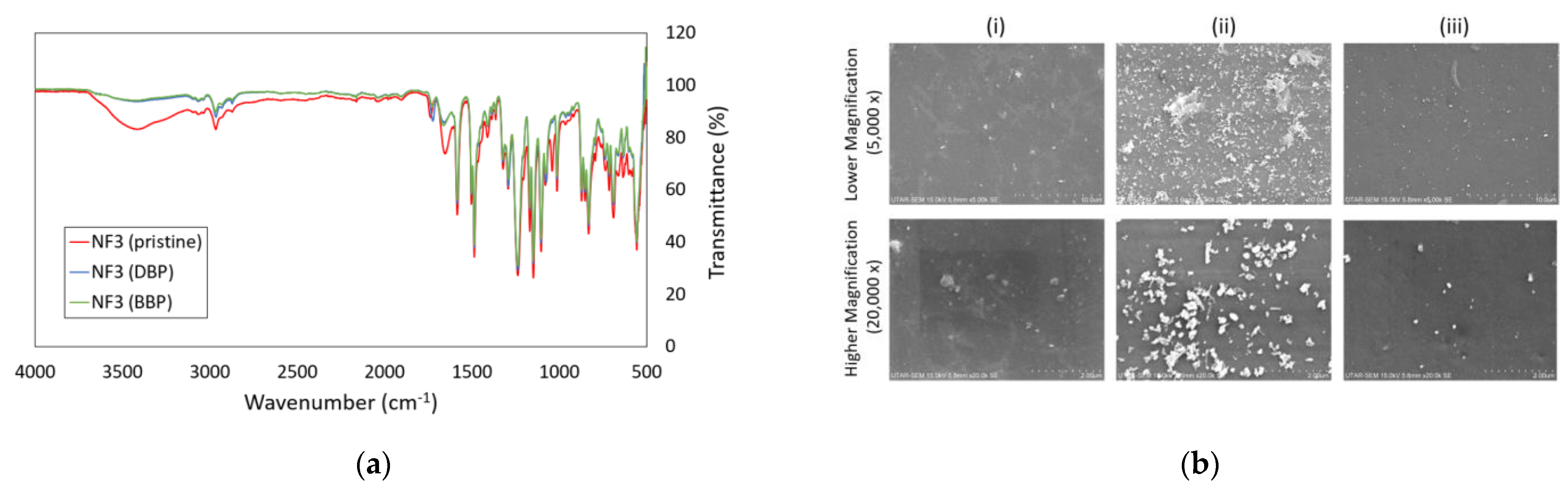 Membranes 13 00413 g009 Membranes 13 00413 g009