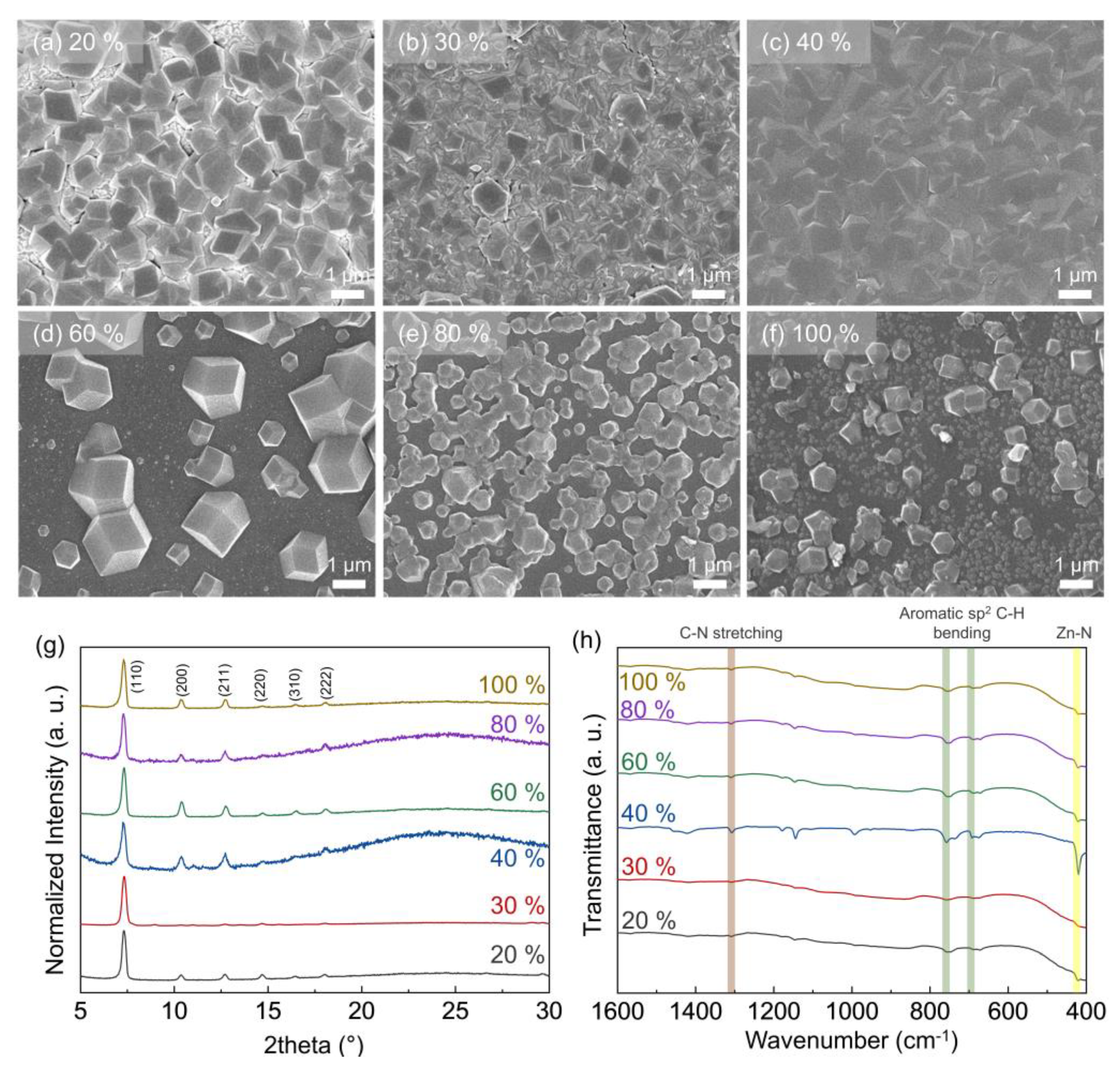 Membranes 13 00414 g001