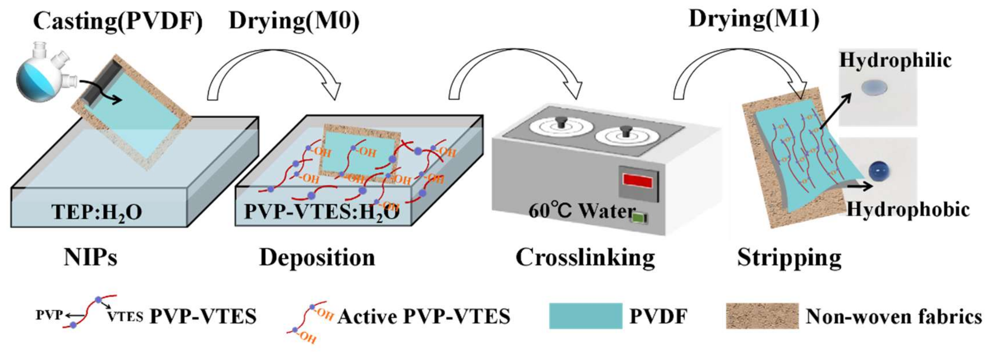 Membranes 13 00415 g001