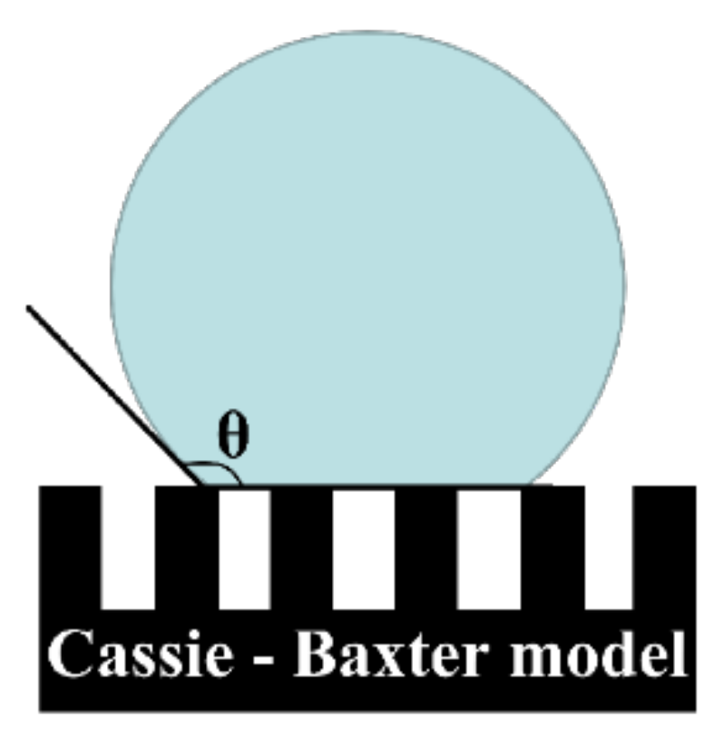 Membranes 13 00415 g002