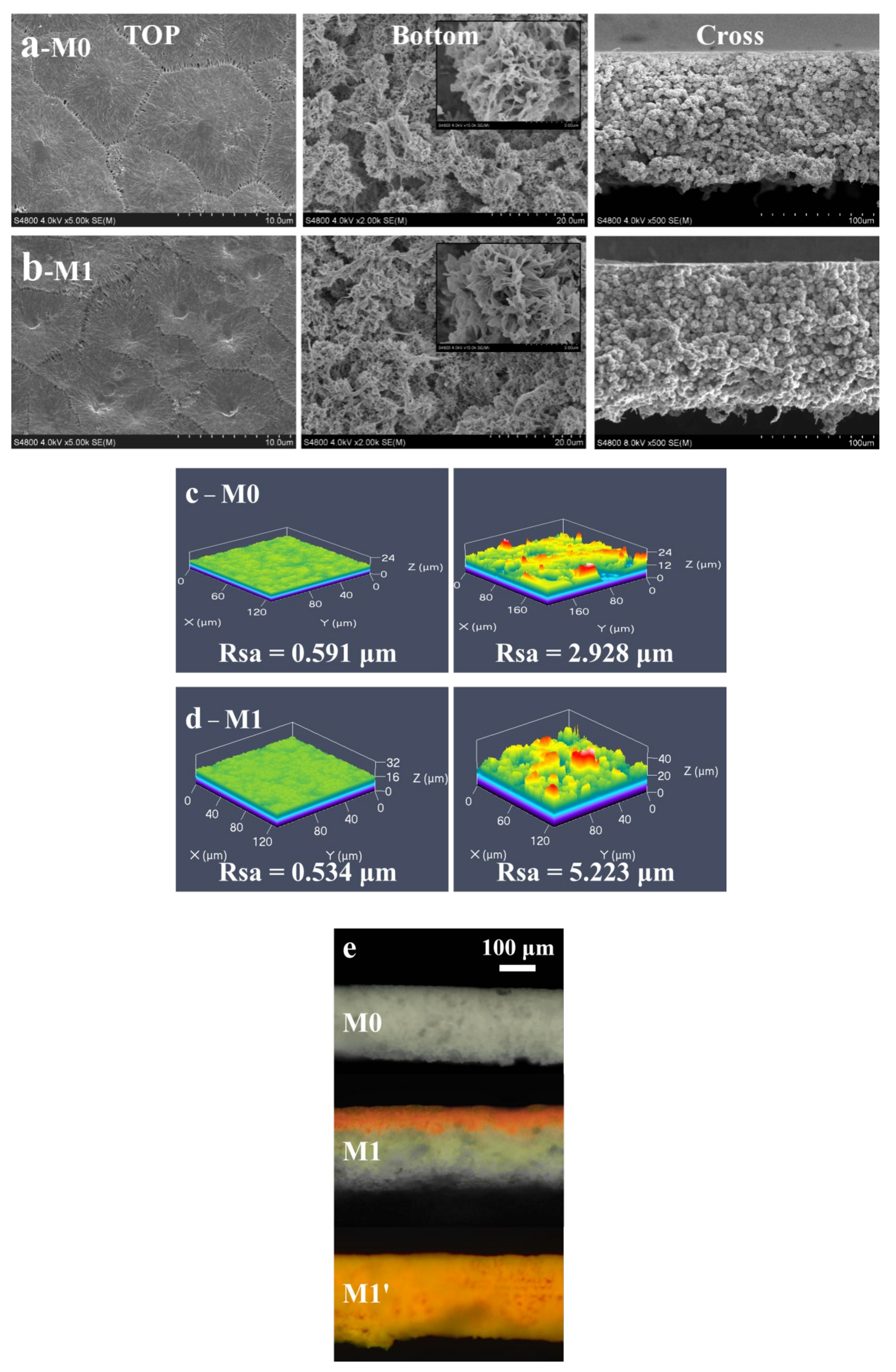 Membranes 13 00415 g003