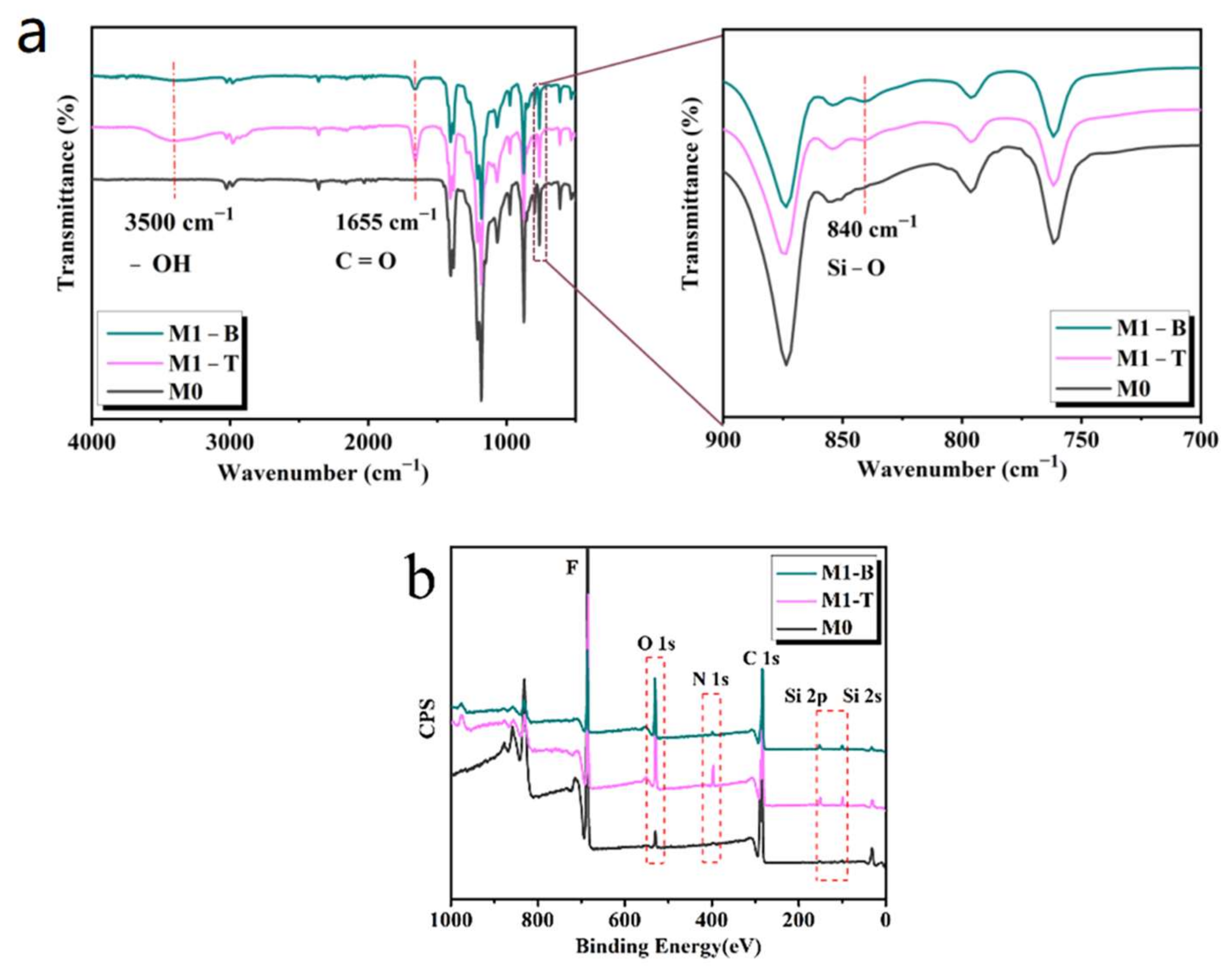Membranes 13 00415 g004