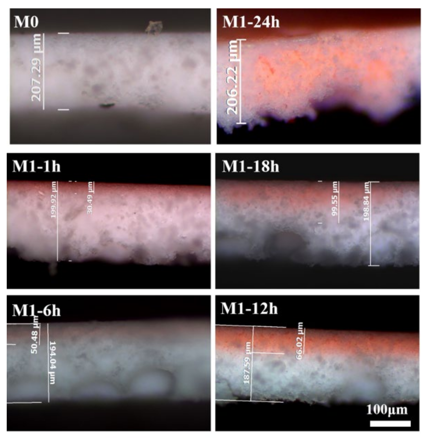 Membranes 13 00415 g006