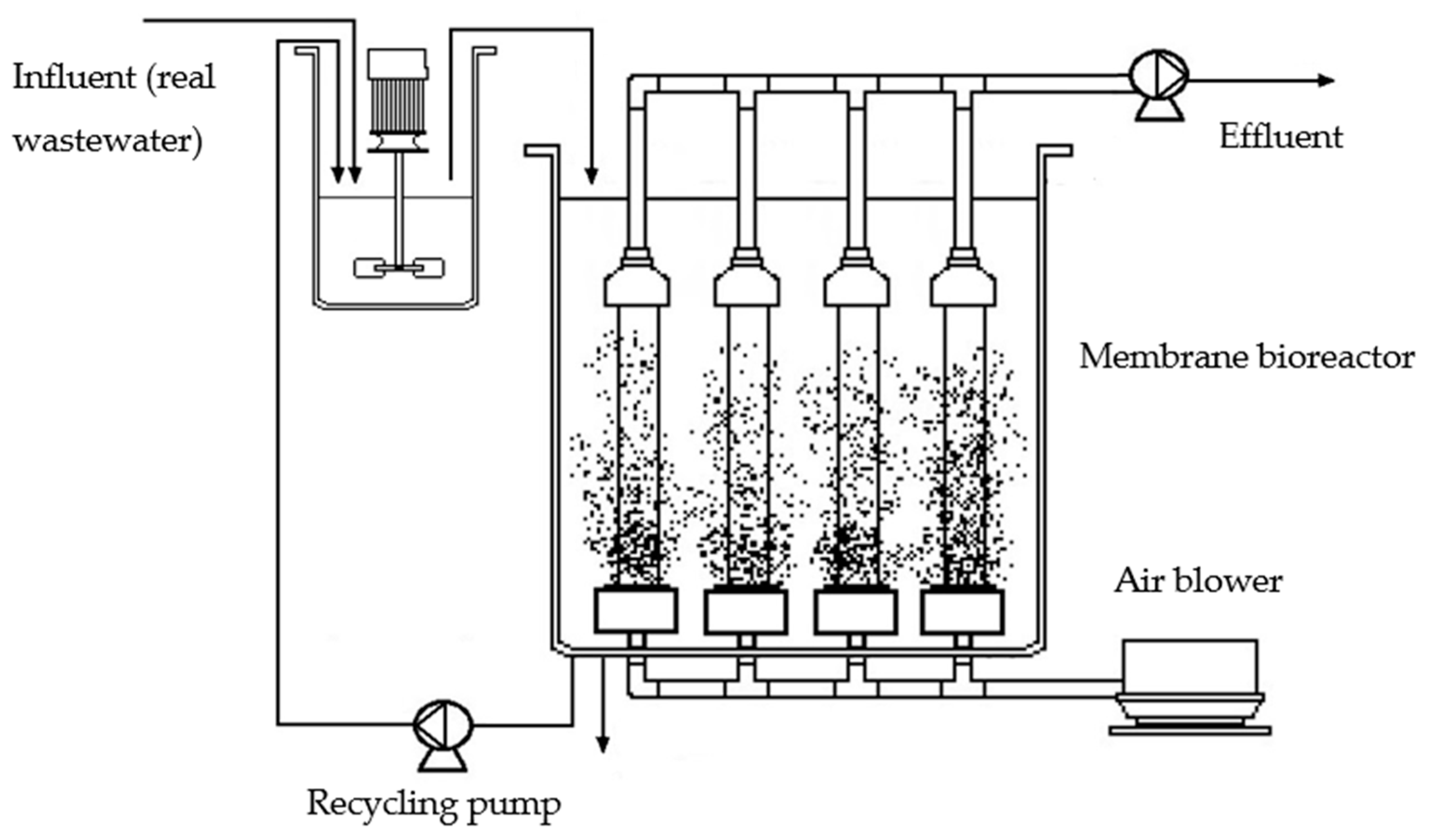 Membranes 13 00419 g001