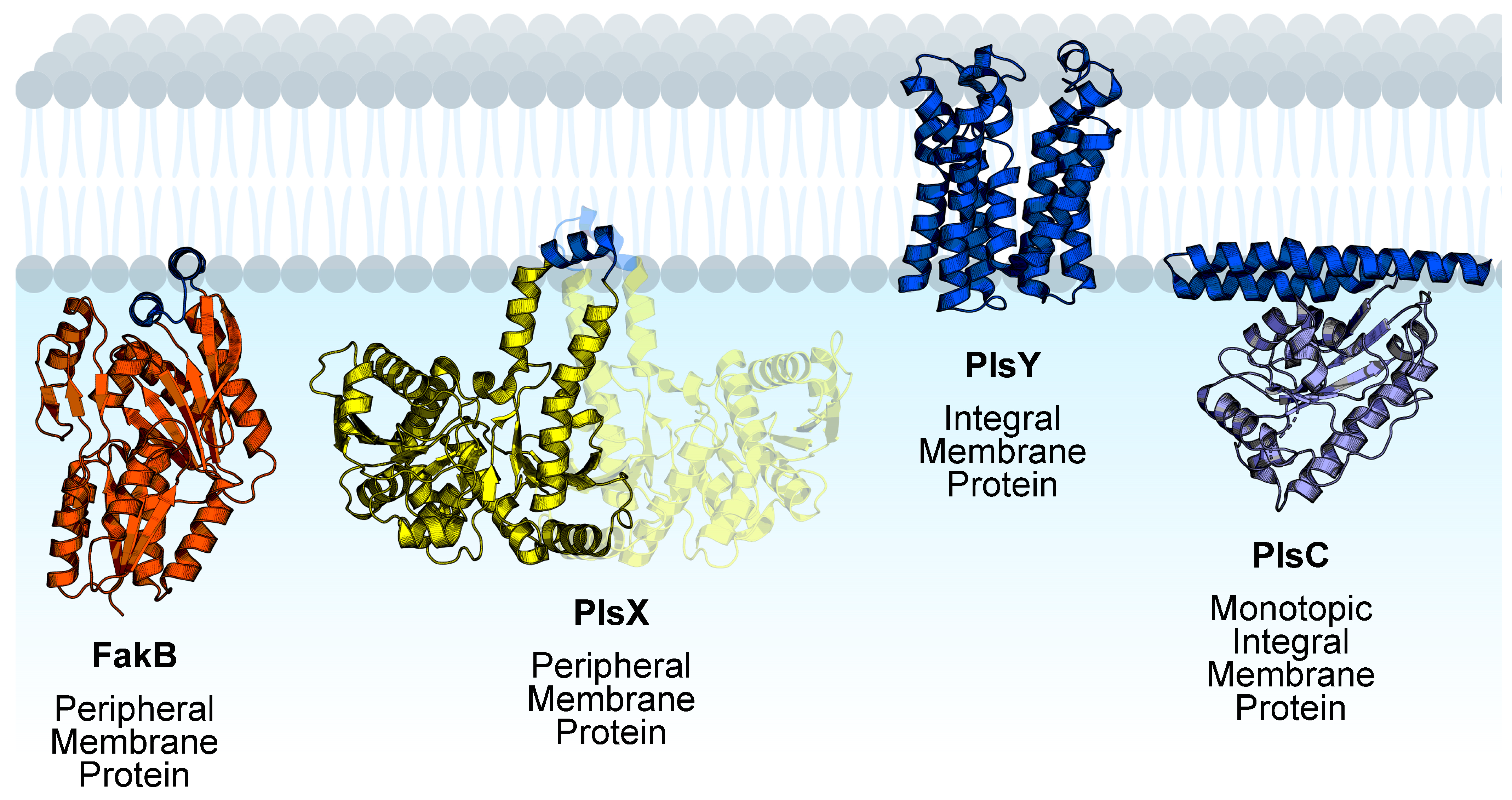 Membranes 13 00423 g002