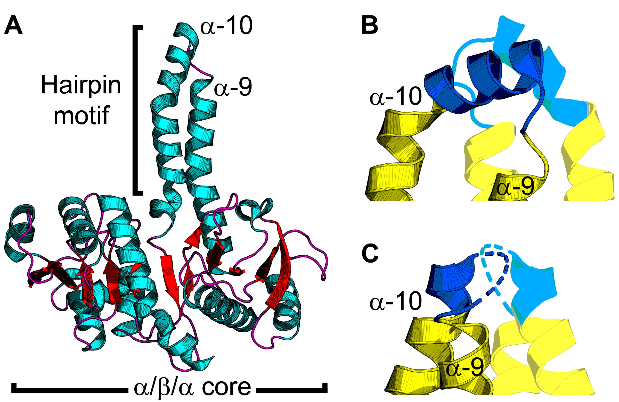 Membranes 13 00423 g003