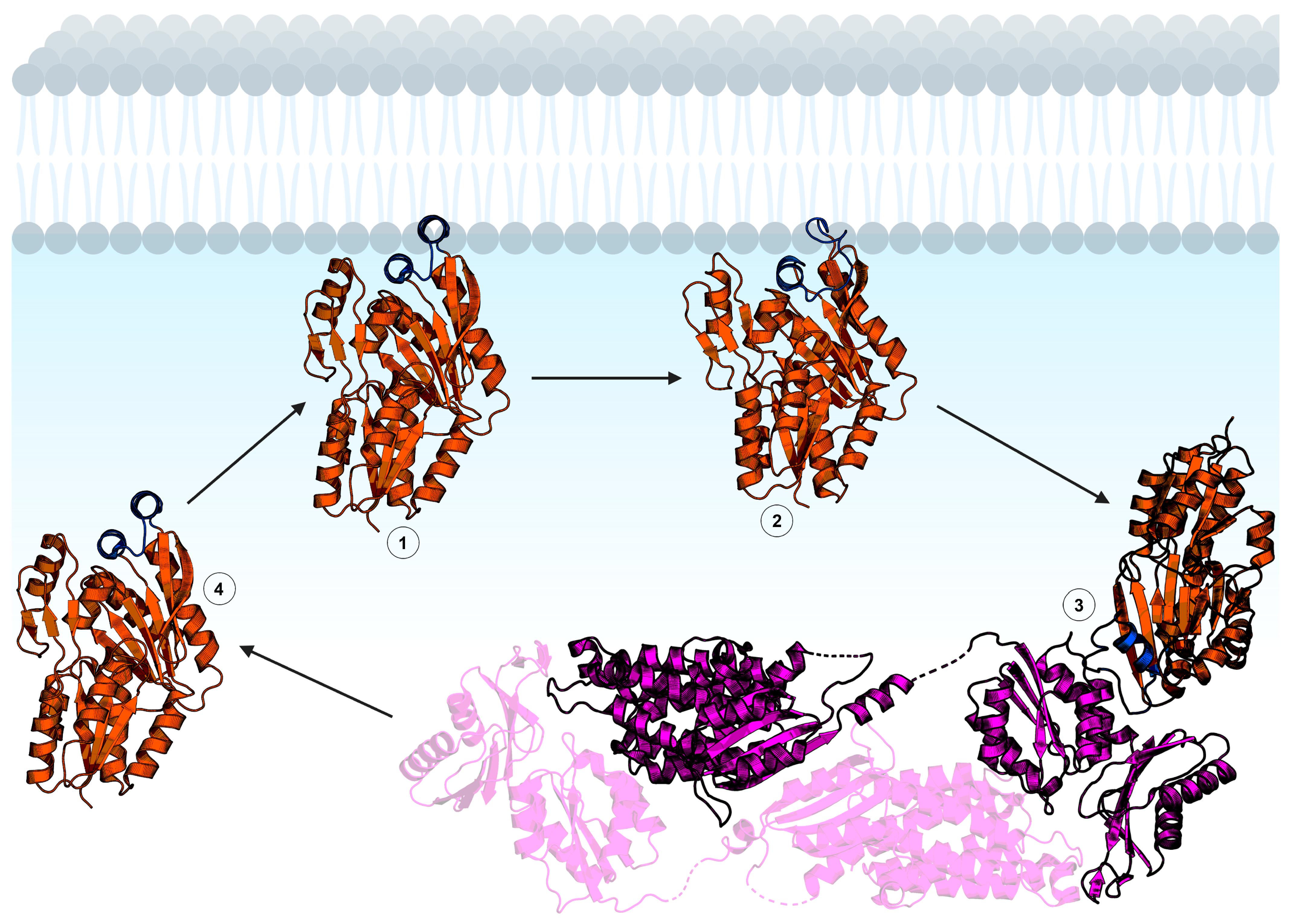 Membranes 13 00423 g005