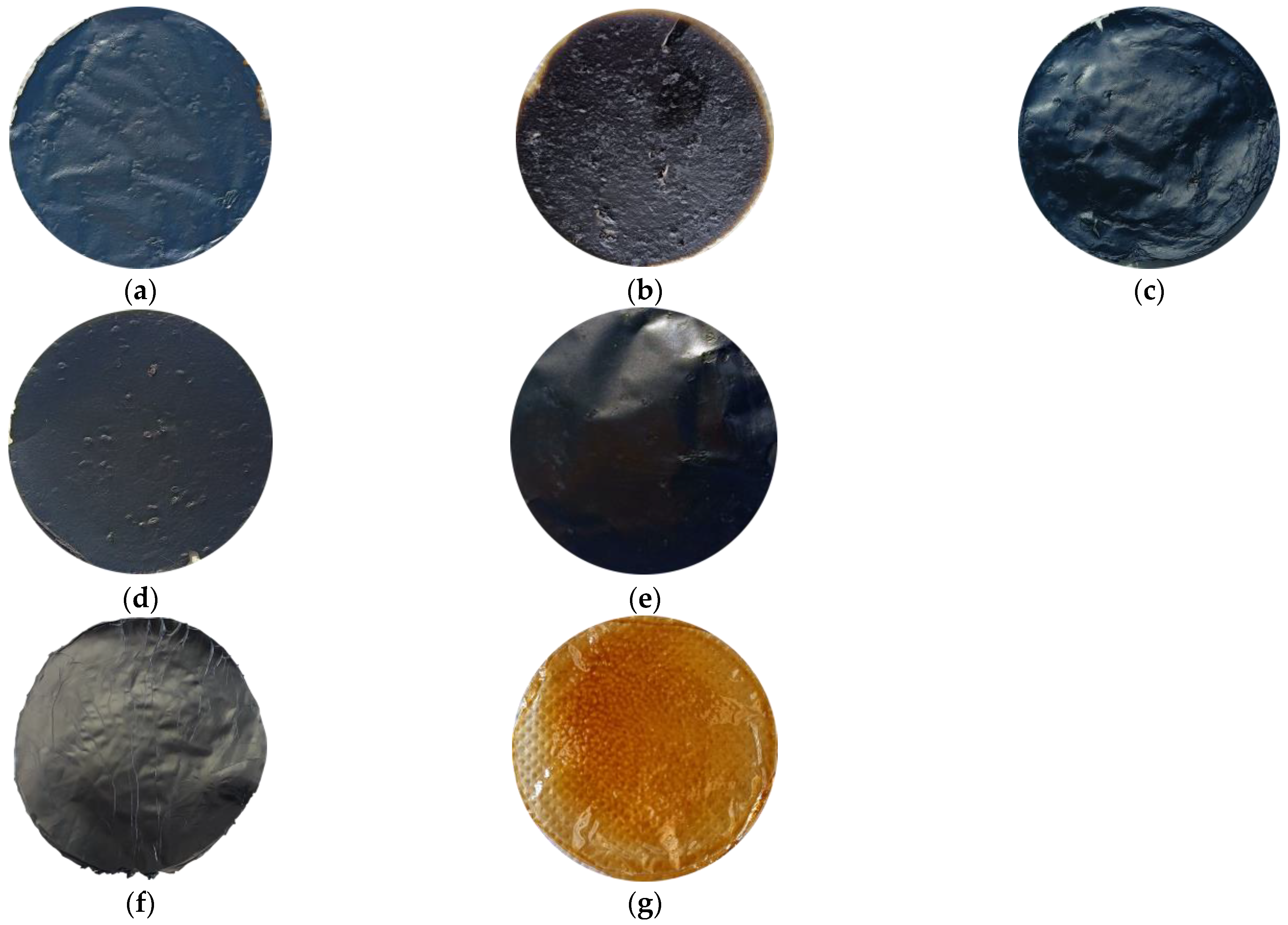 Membranes 13 00428 g002