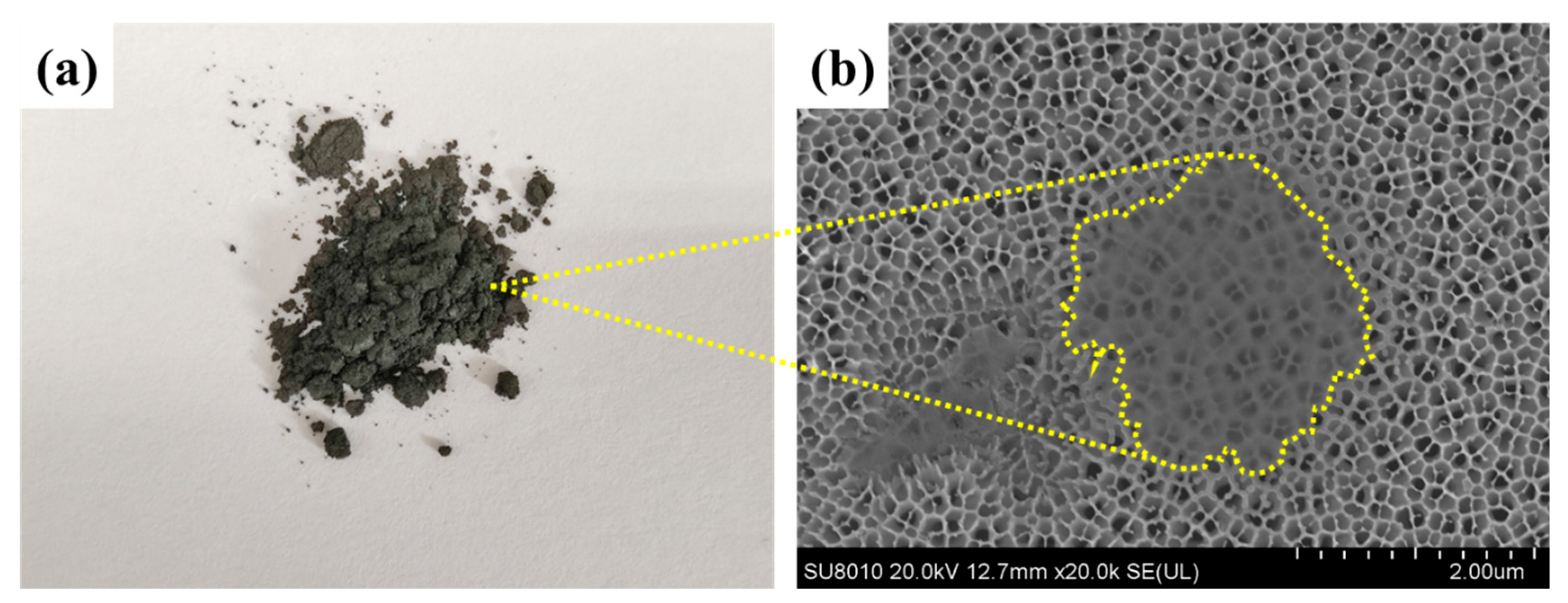 Membranes 13 00430 g003