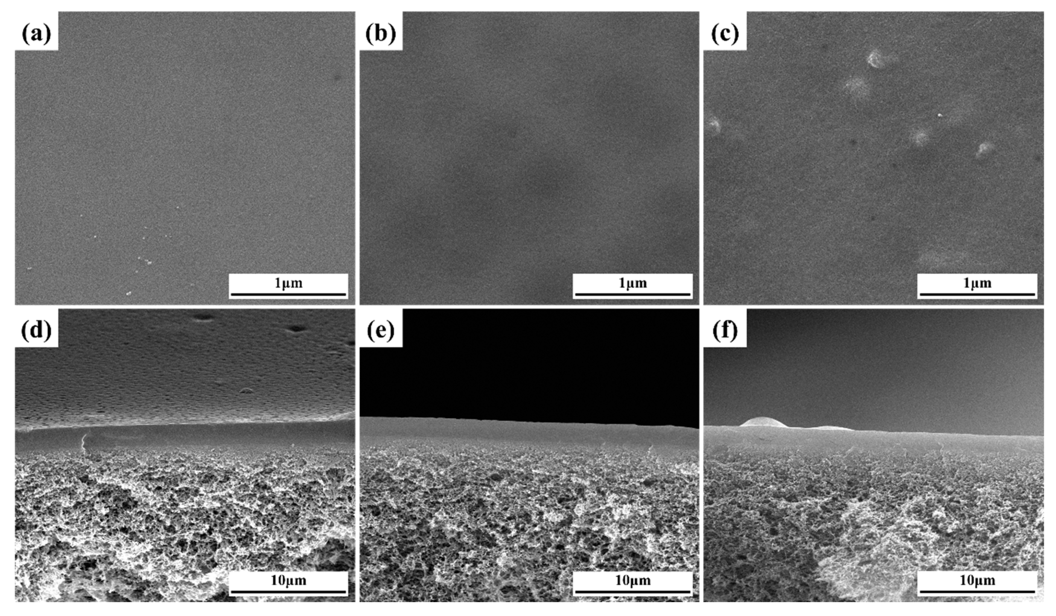 Membranes 13 00430 g004