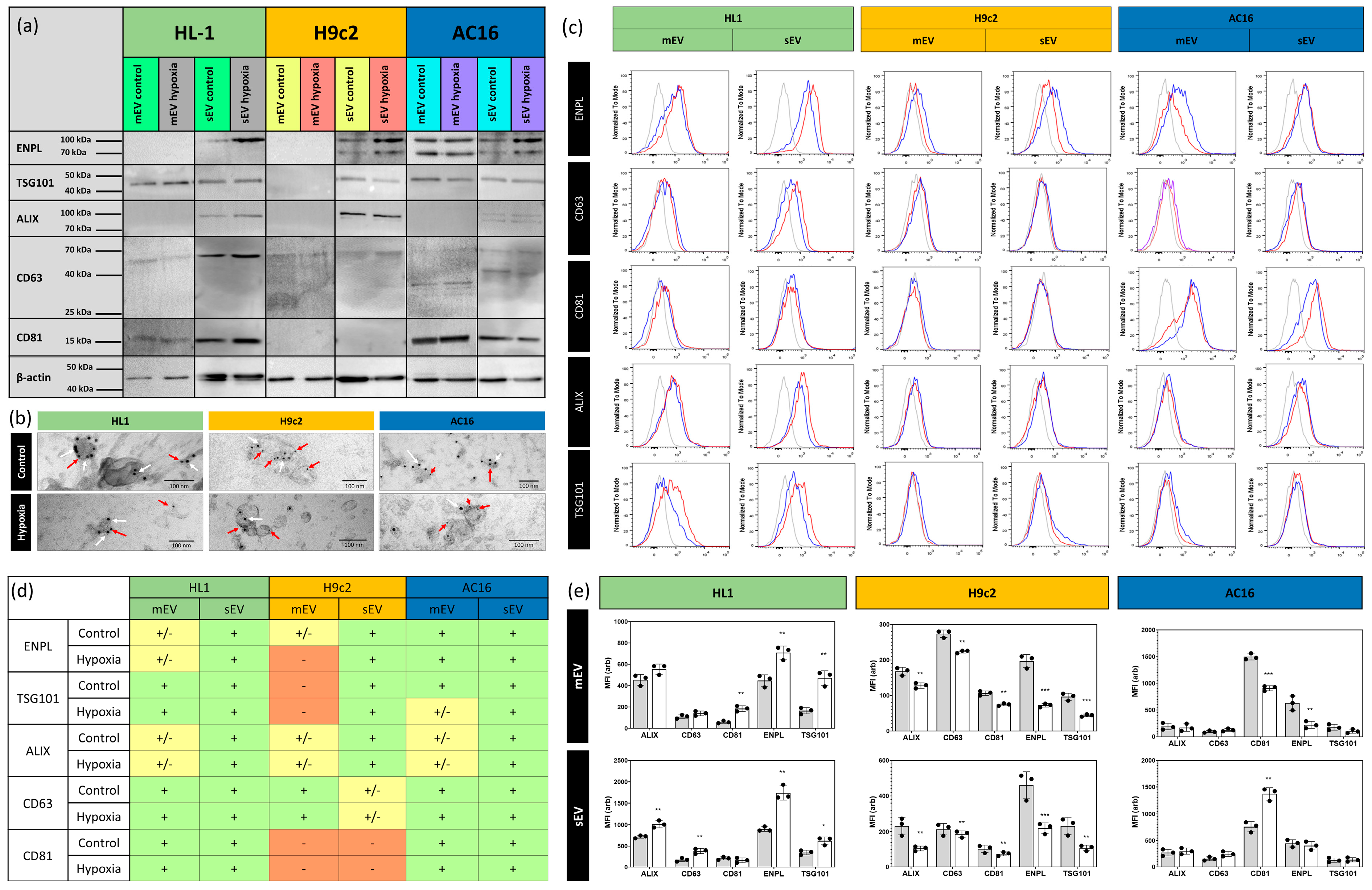 Membranes 13 00431 g004
