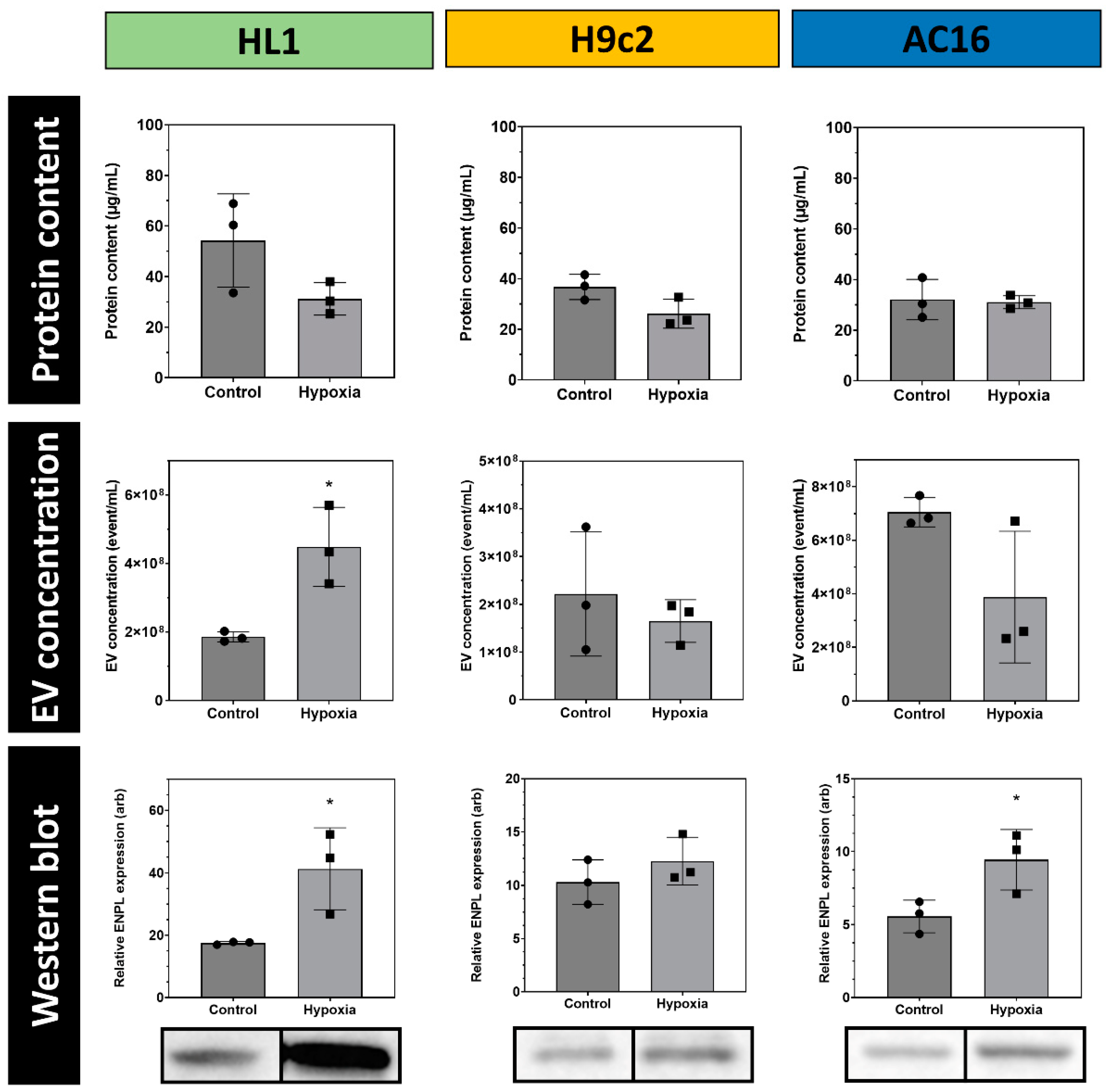 Membranes 13 00431 g005
