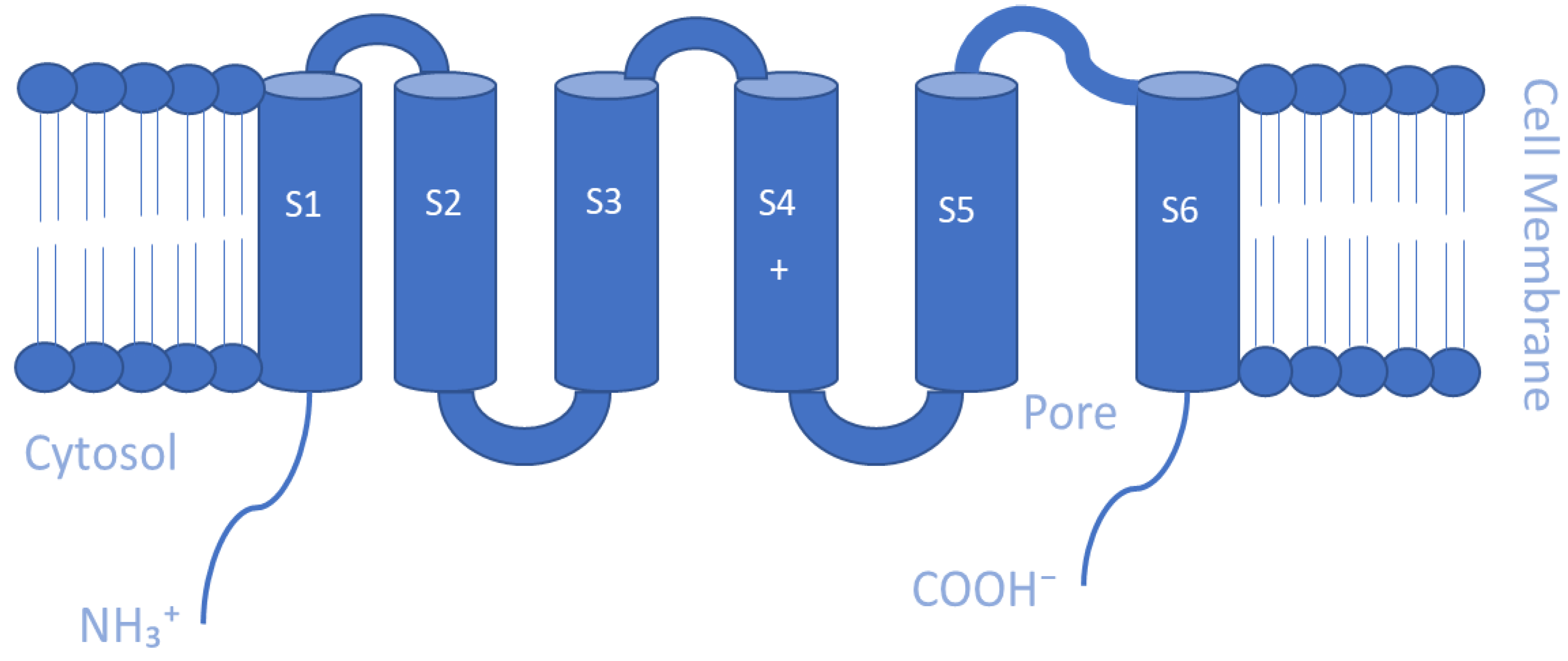 Membranes 13 00434 g001