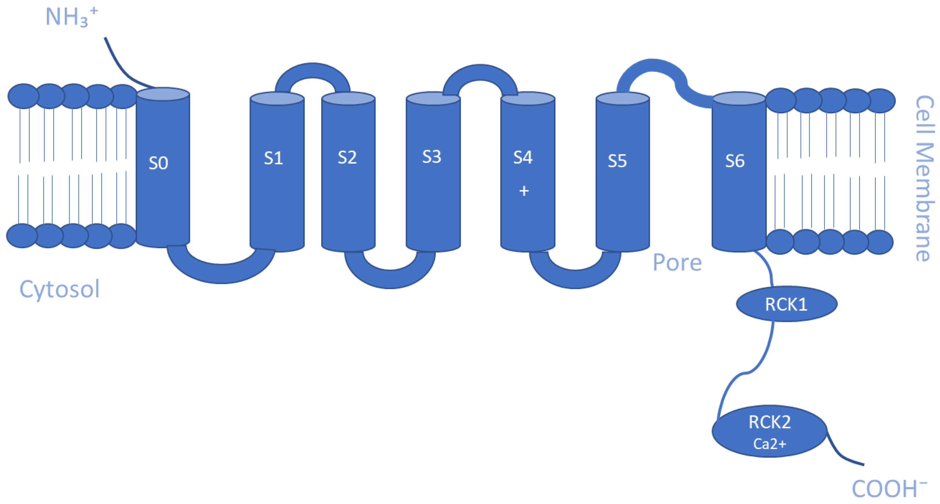 Membranes 13 00434 g002