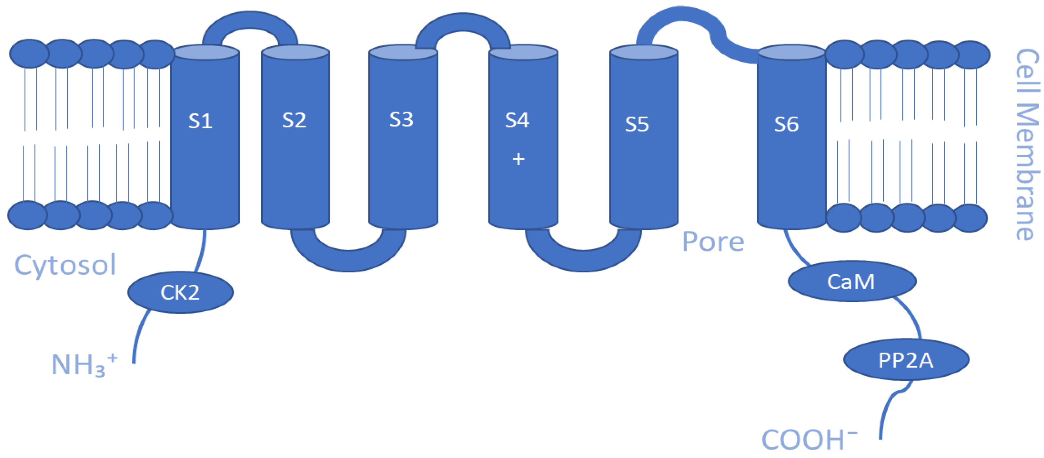 Membranes 13 00434 g003