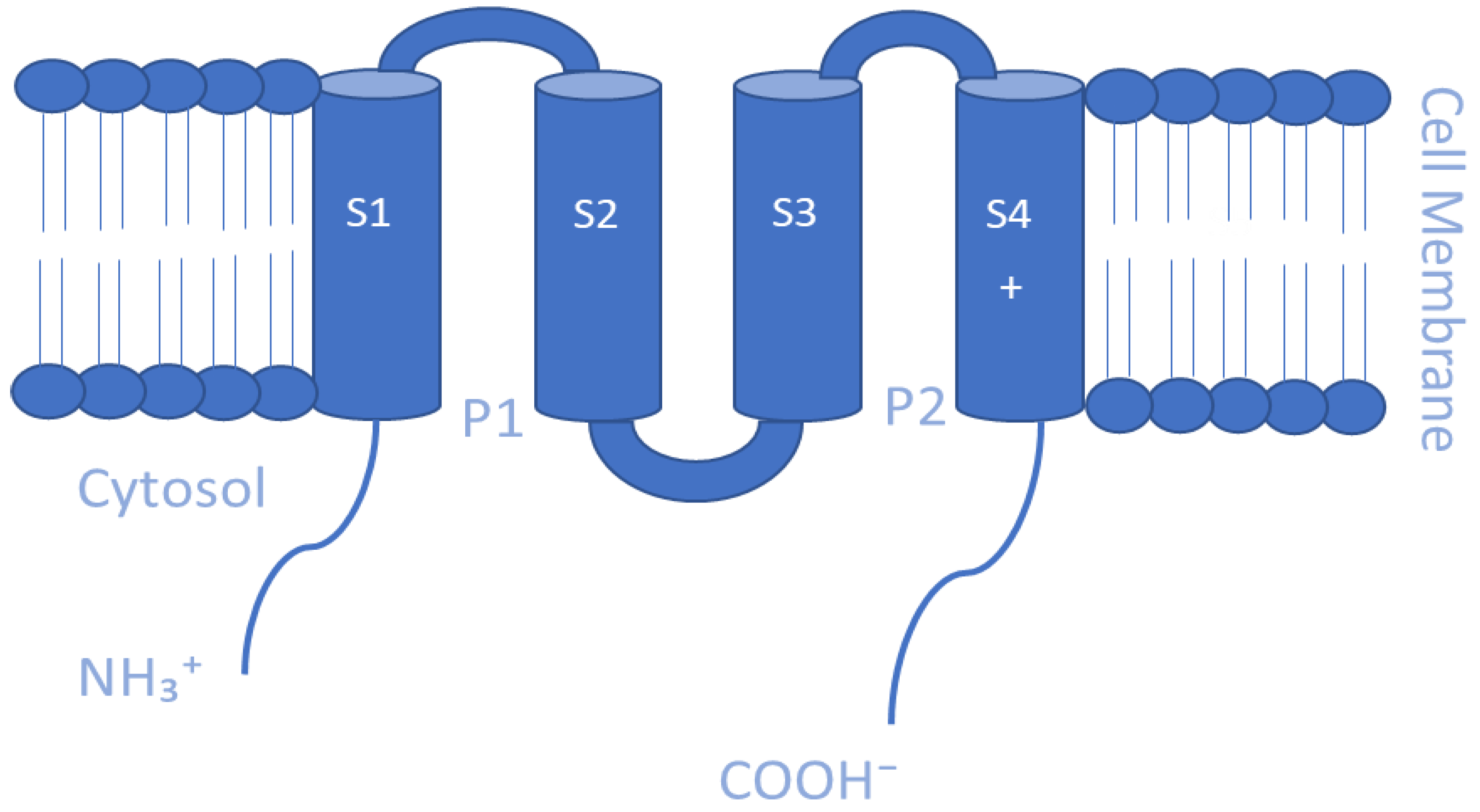 Membranes 13 00434 g005
