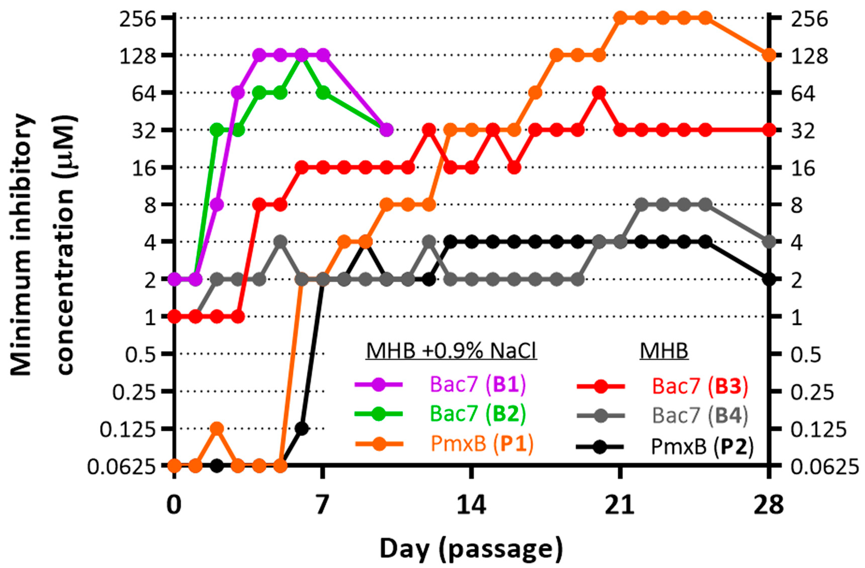 Membranes 13 00438 g001