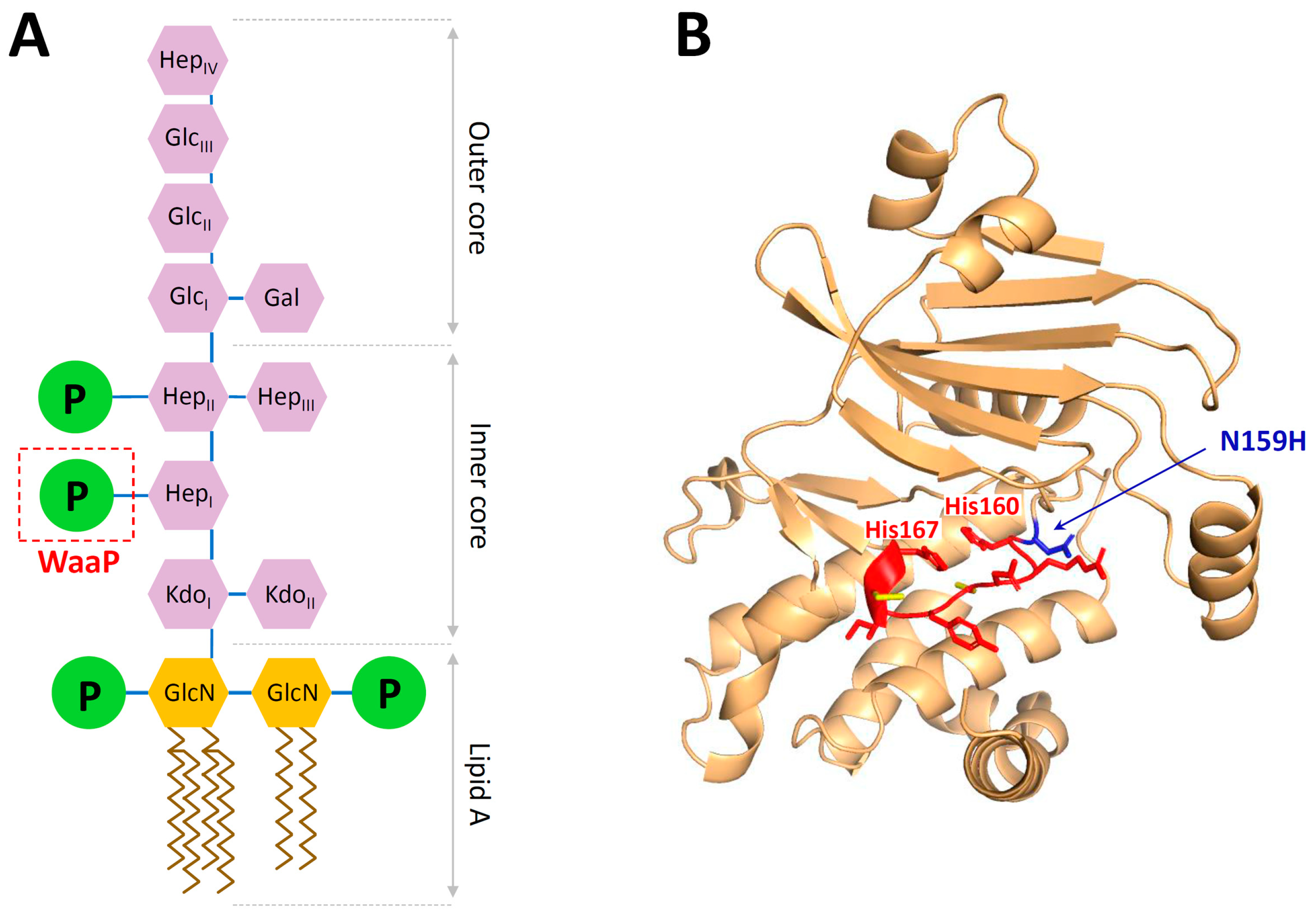 Membranes 13 00438 g004