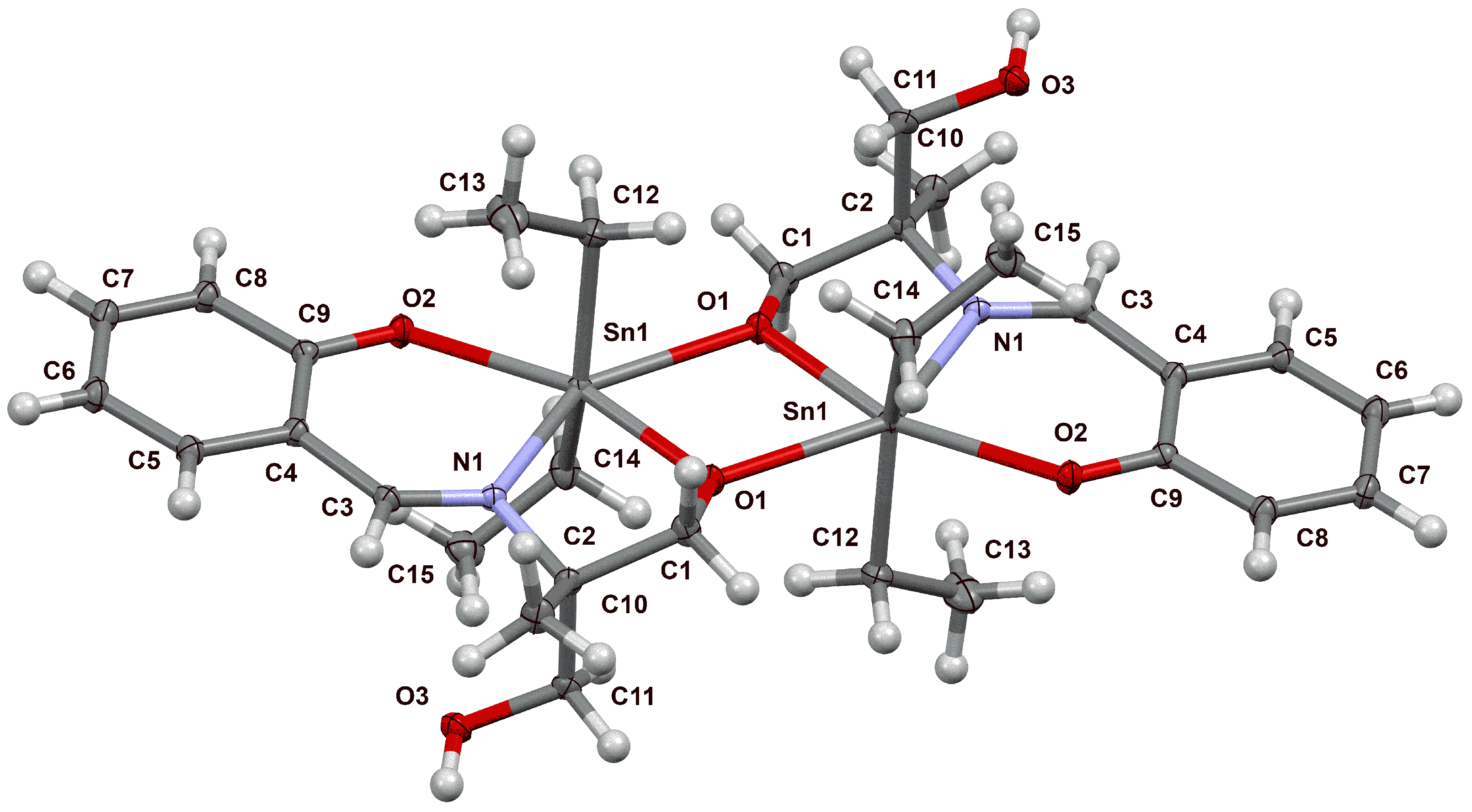 Membranes 13 00439 g001