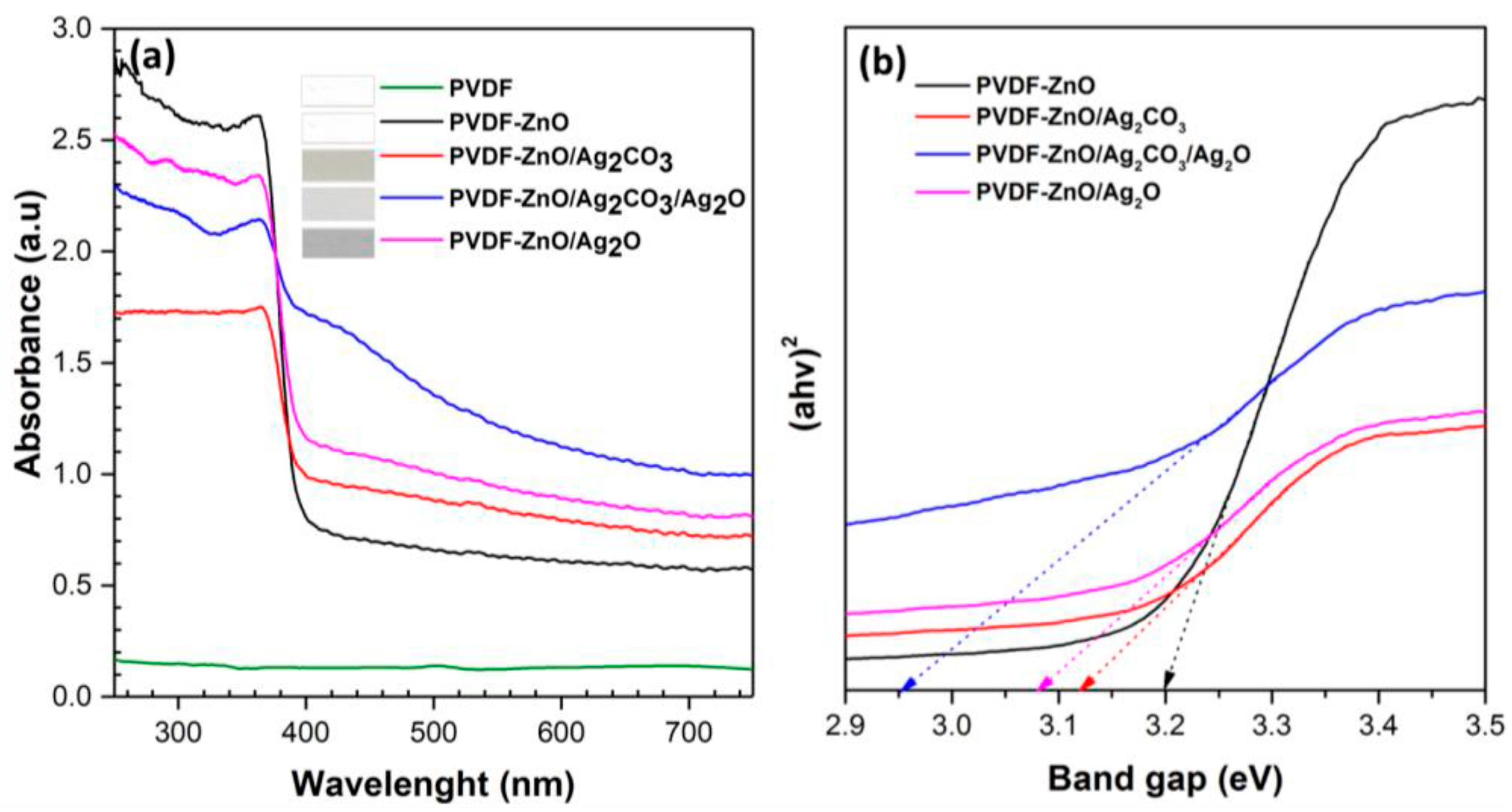 Membranes 13 00441 g002