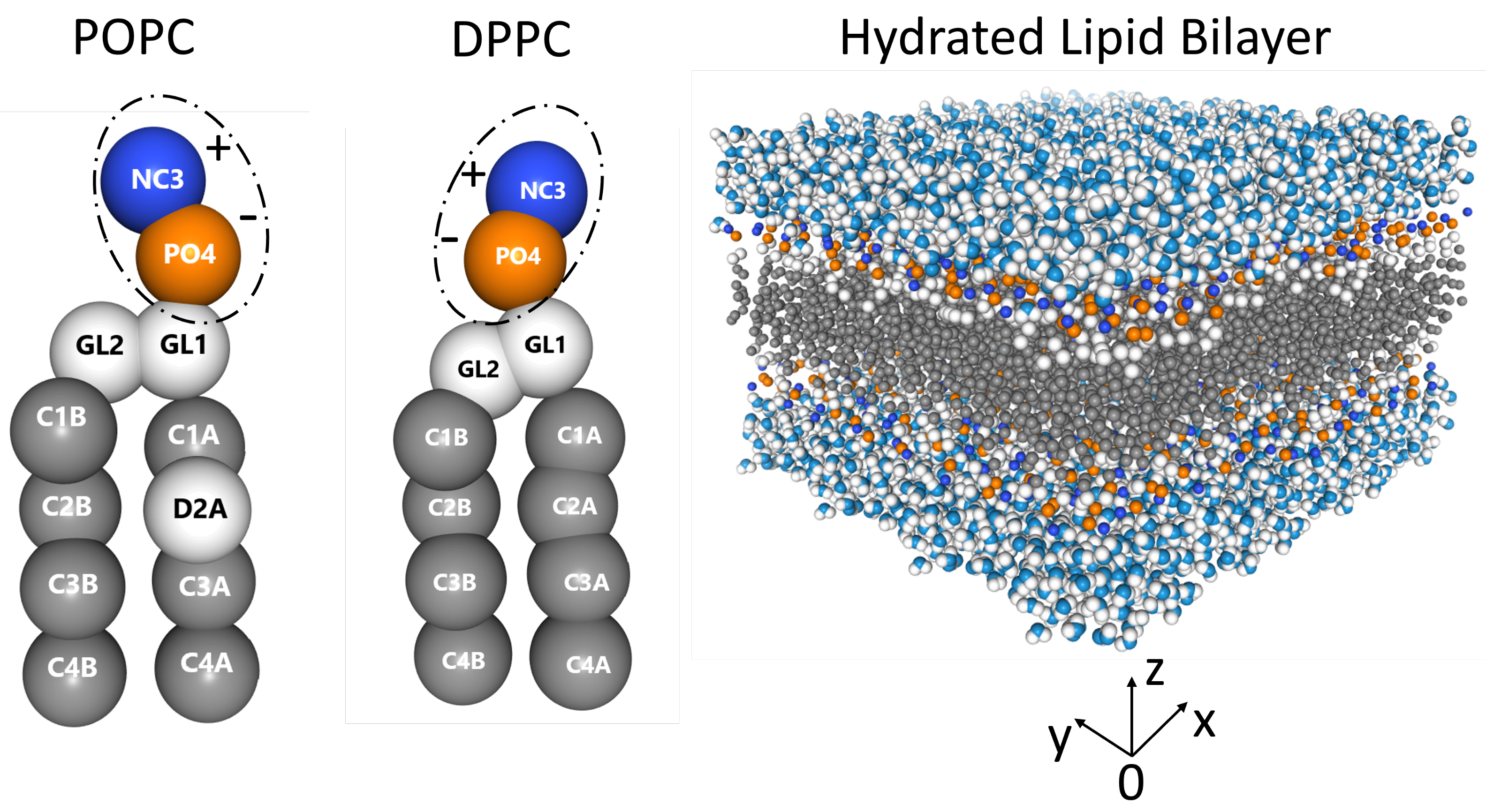 Membranes 13 00442 g001 Membranes 13 00442 g001