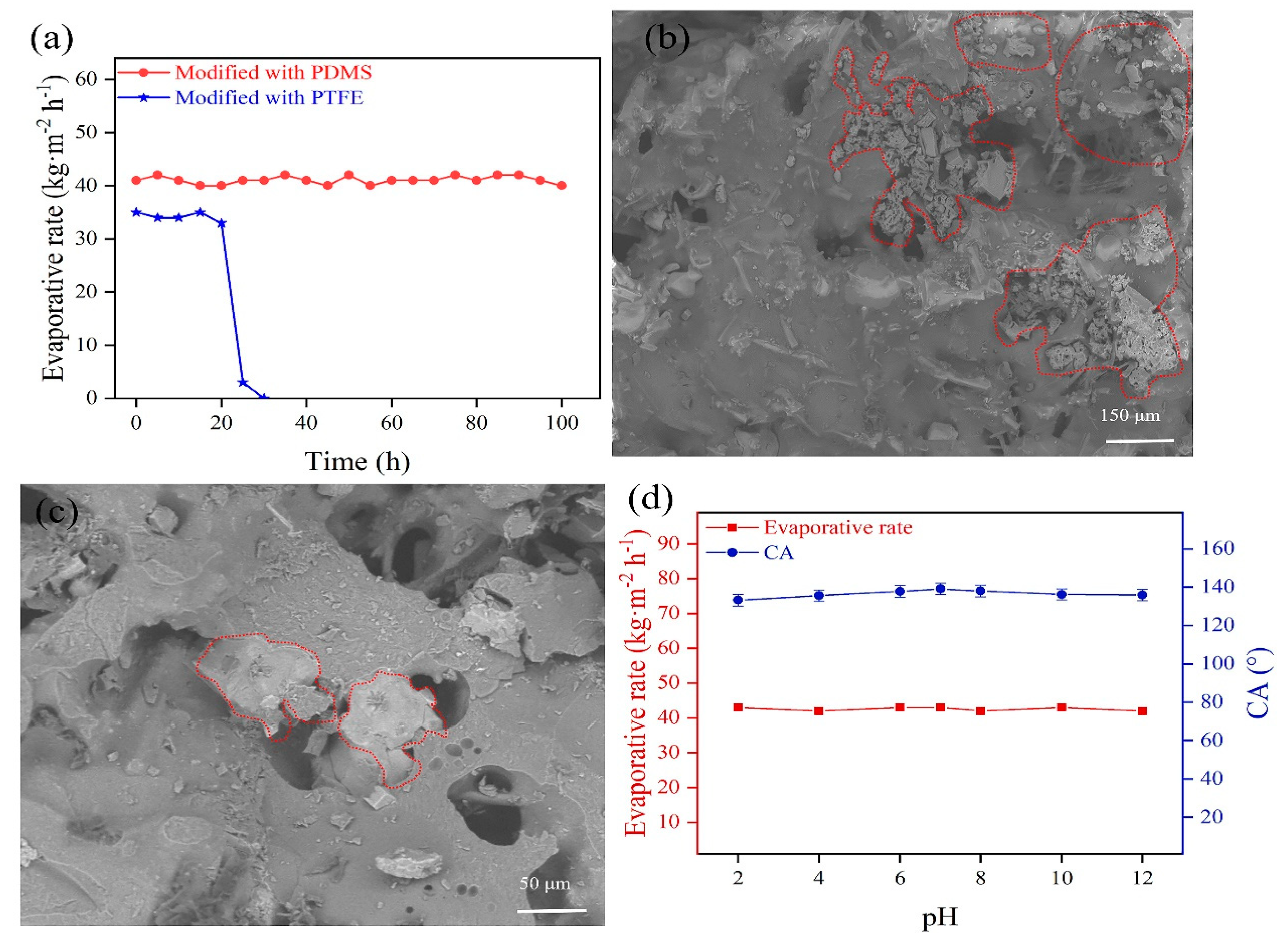 Membranes 13 00443 g005