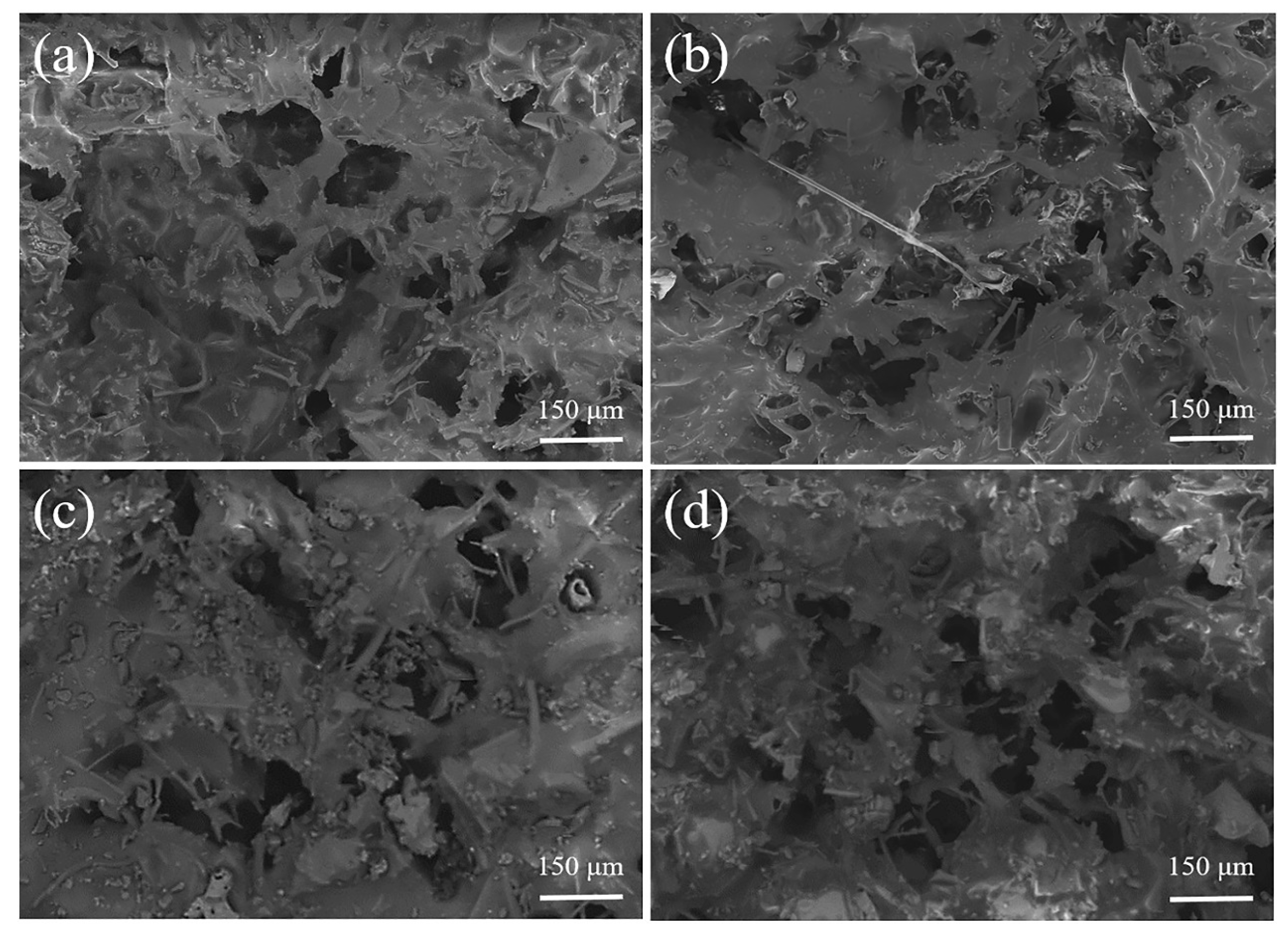 Membranes 13 00443 g007