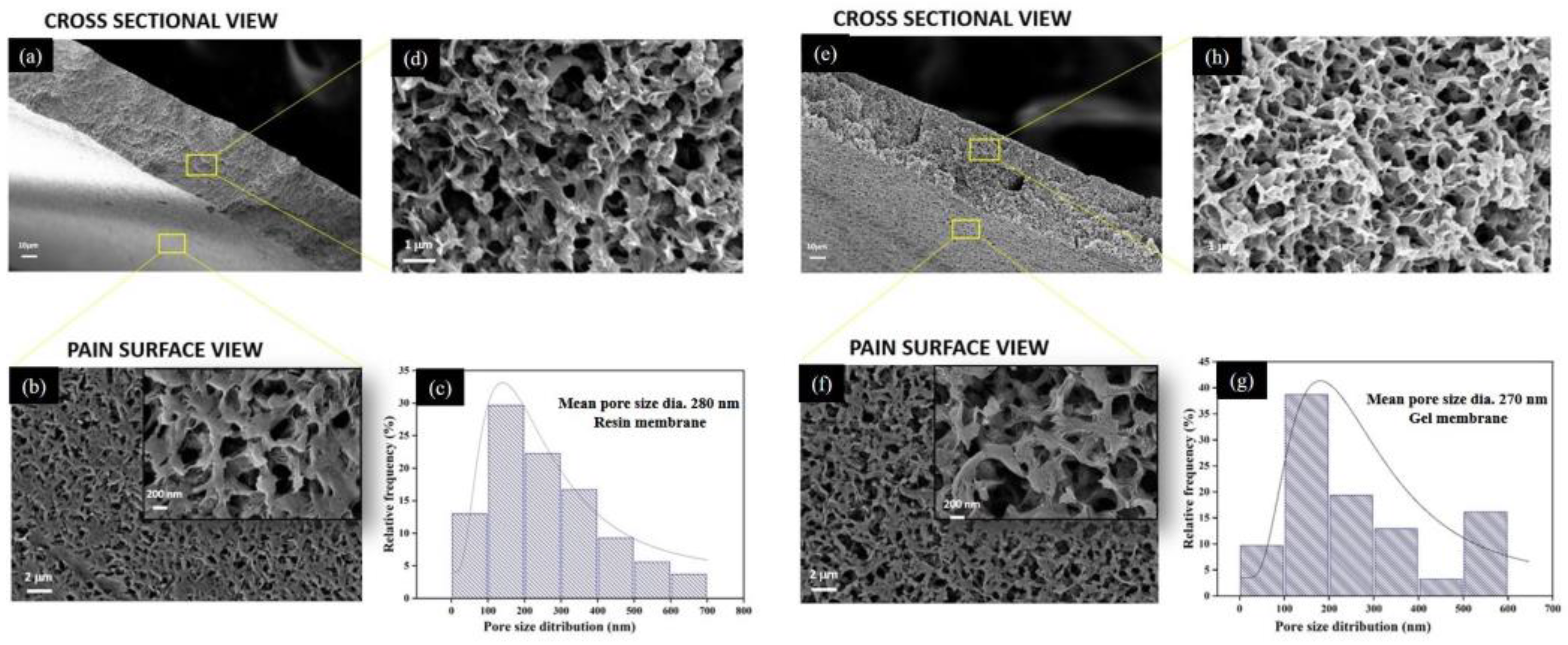 Membranes 13 00445 g007 Membranes 13 00445 g007