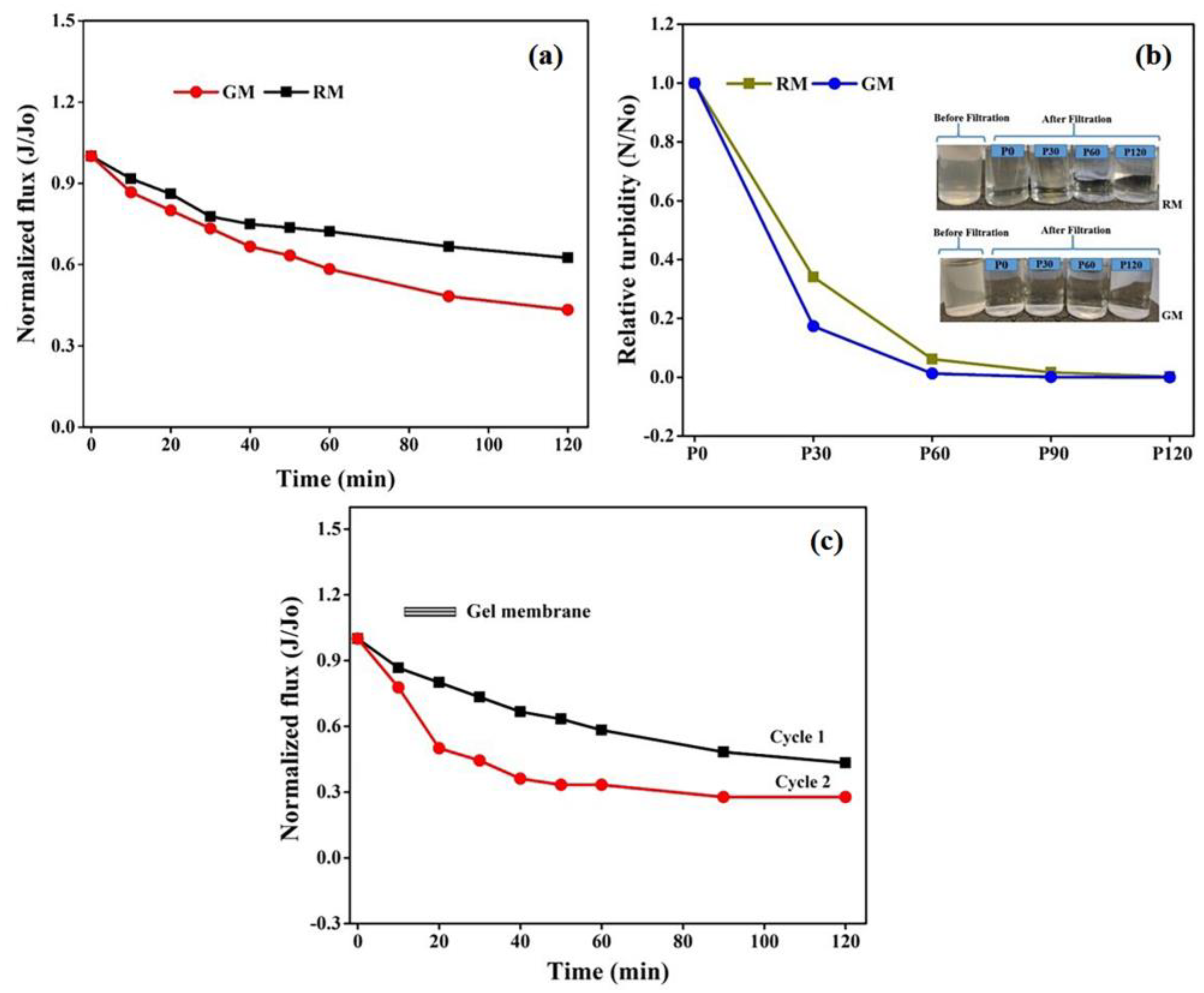 Membranes 13 00445 g011 Membranes 13 00445 g011
