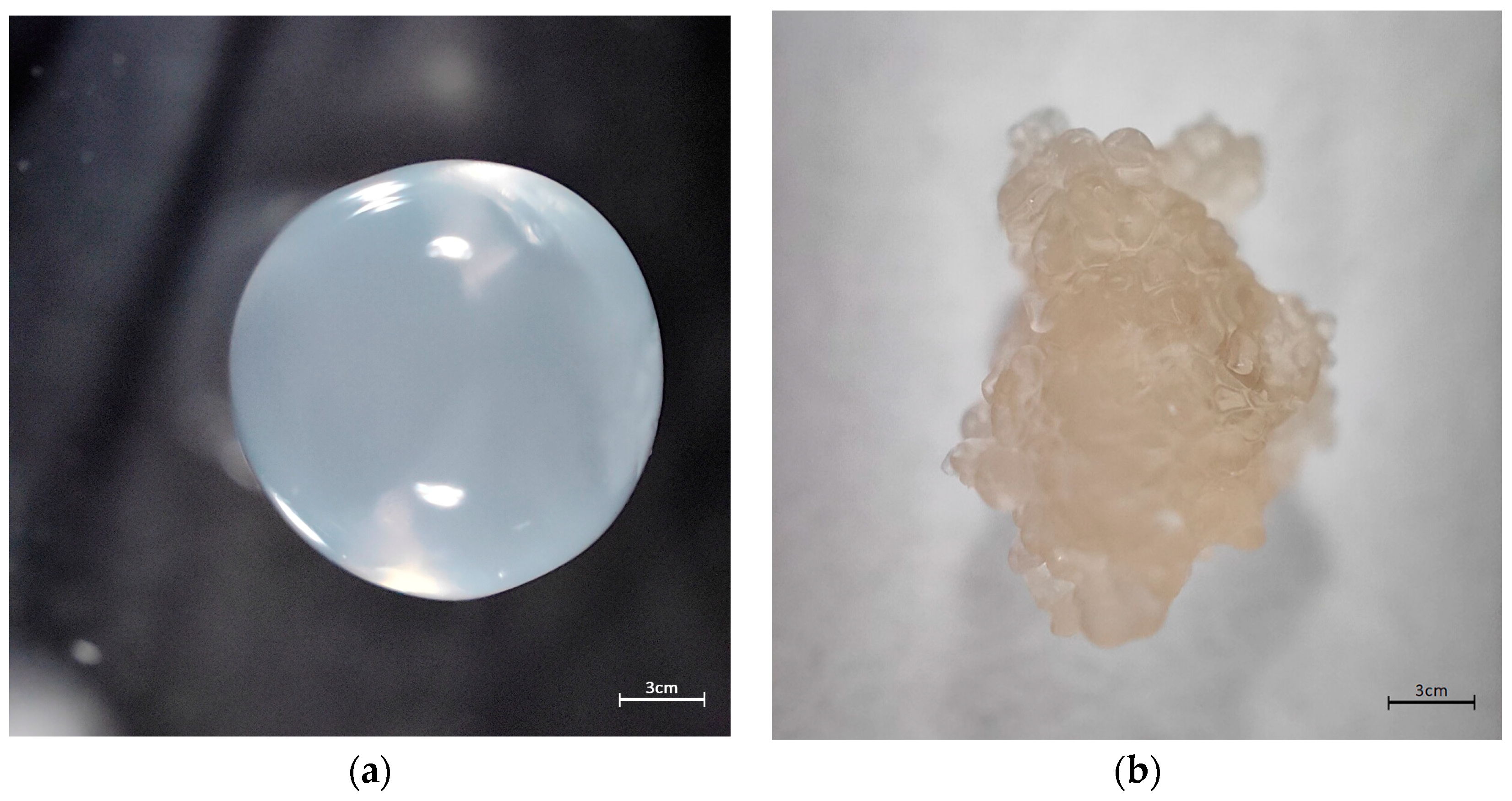 Membranes 13 00447 g002 Membranes 13 00447 g002