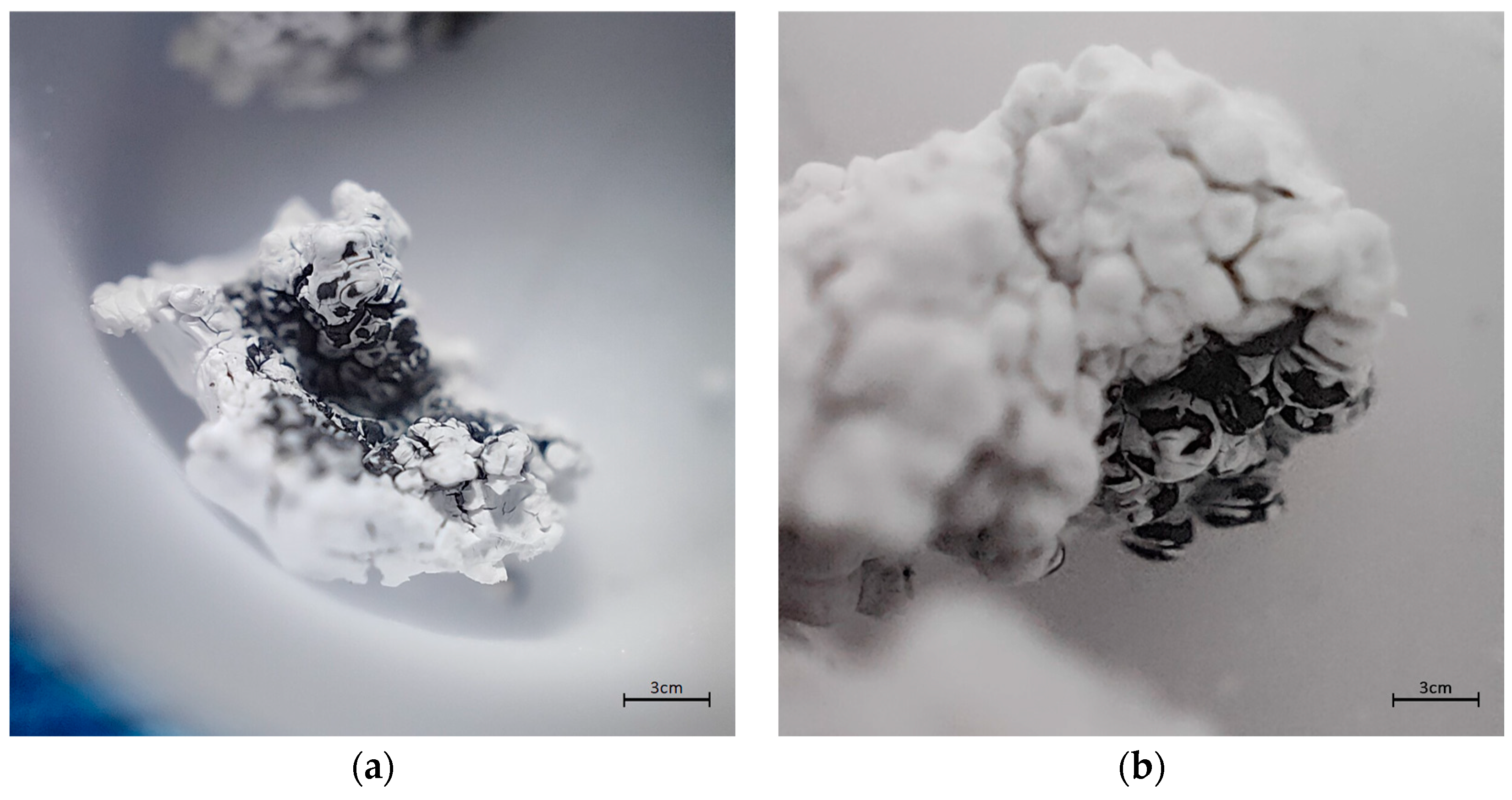 Membranes 13 00447 g010 Membranes 13 00447 g010