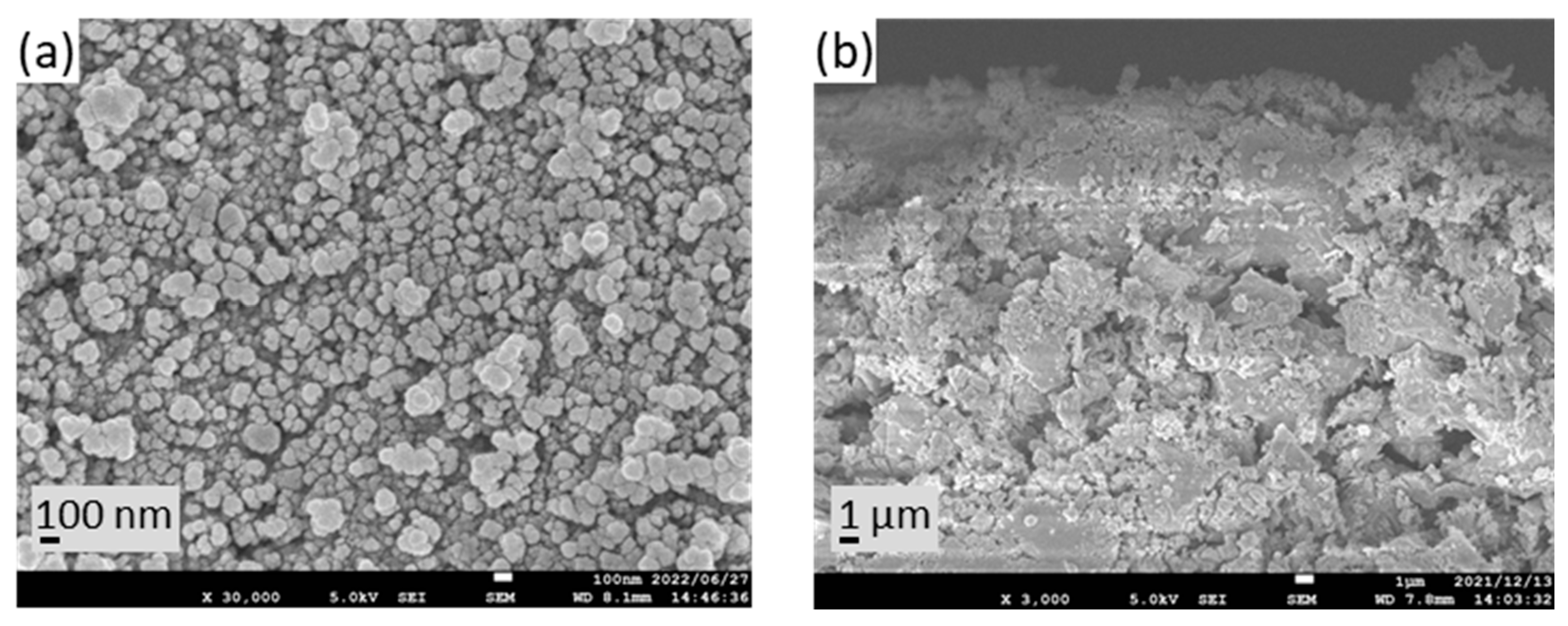 Membranes 13 00448 g003