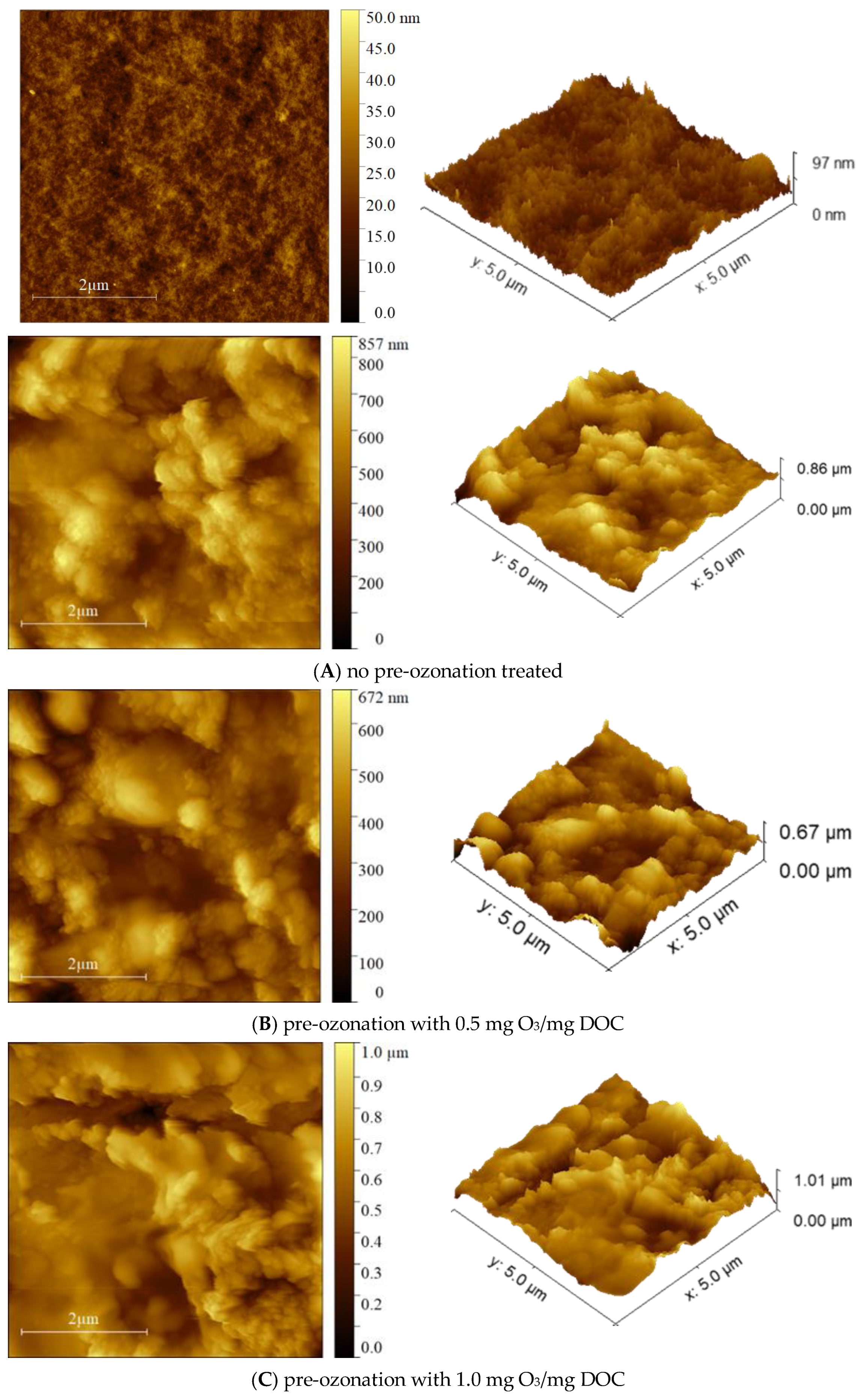 Membranes 13 00452 g009a