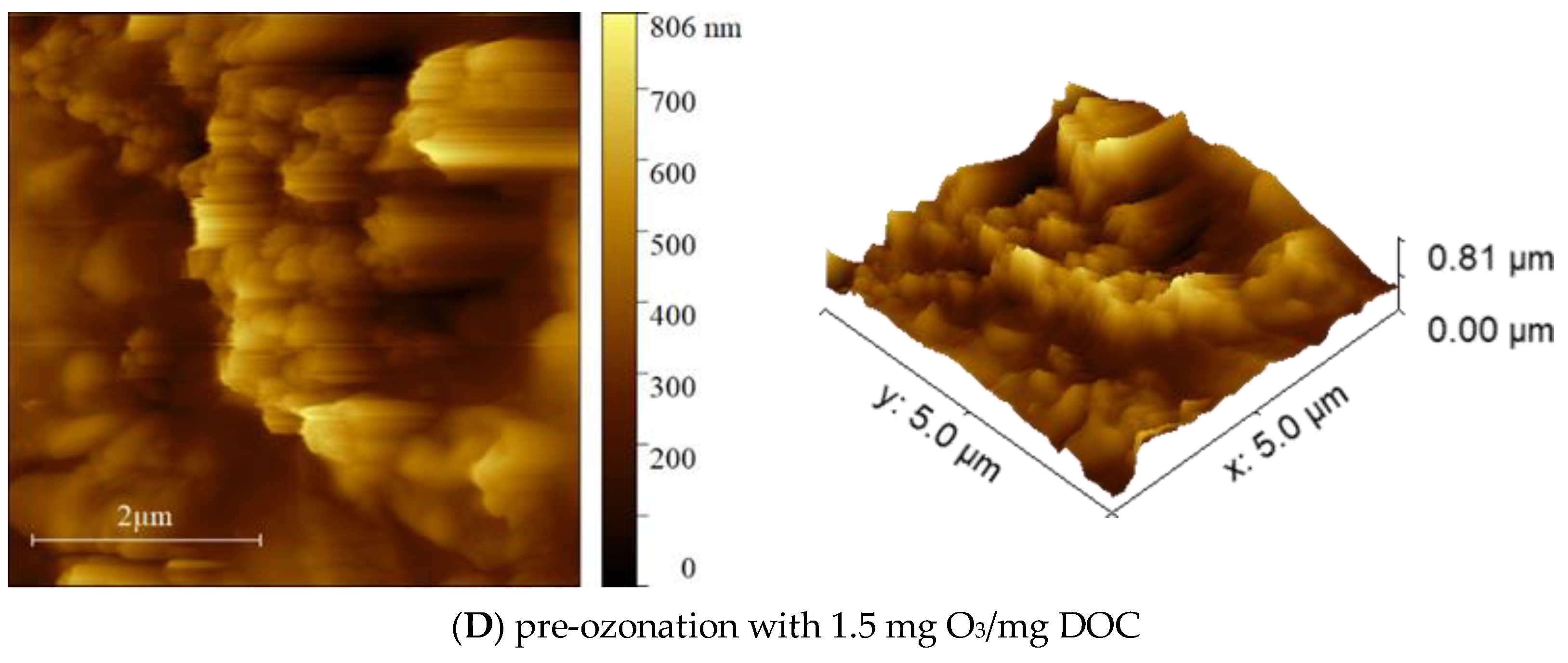 Membranes 13 00452 g009b